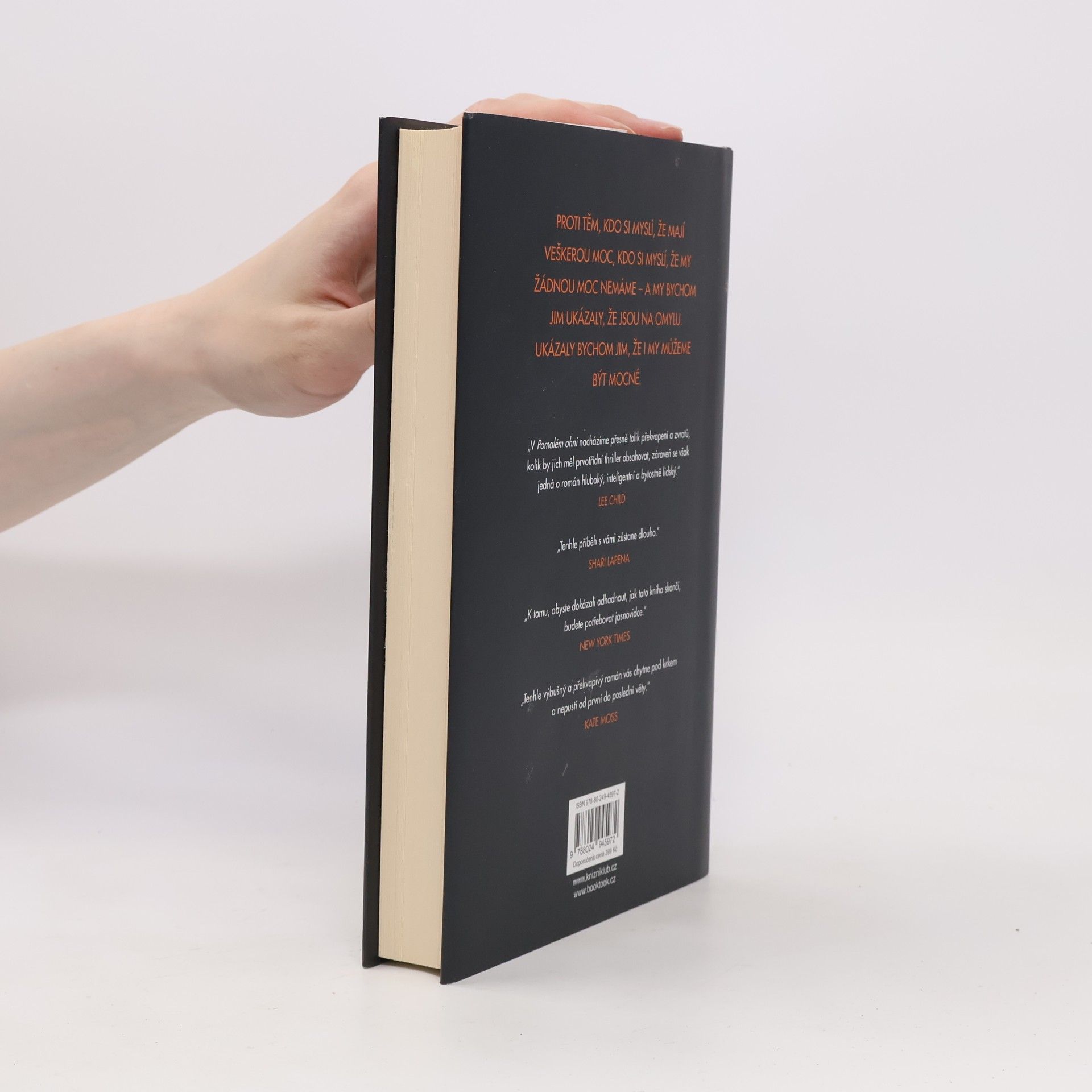 Paula Hawkins Pomalu hořící oheň