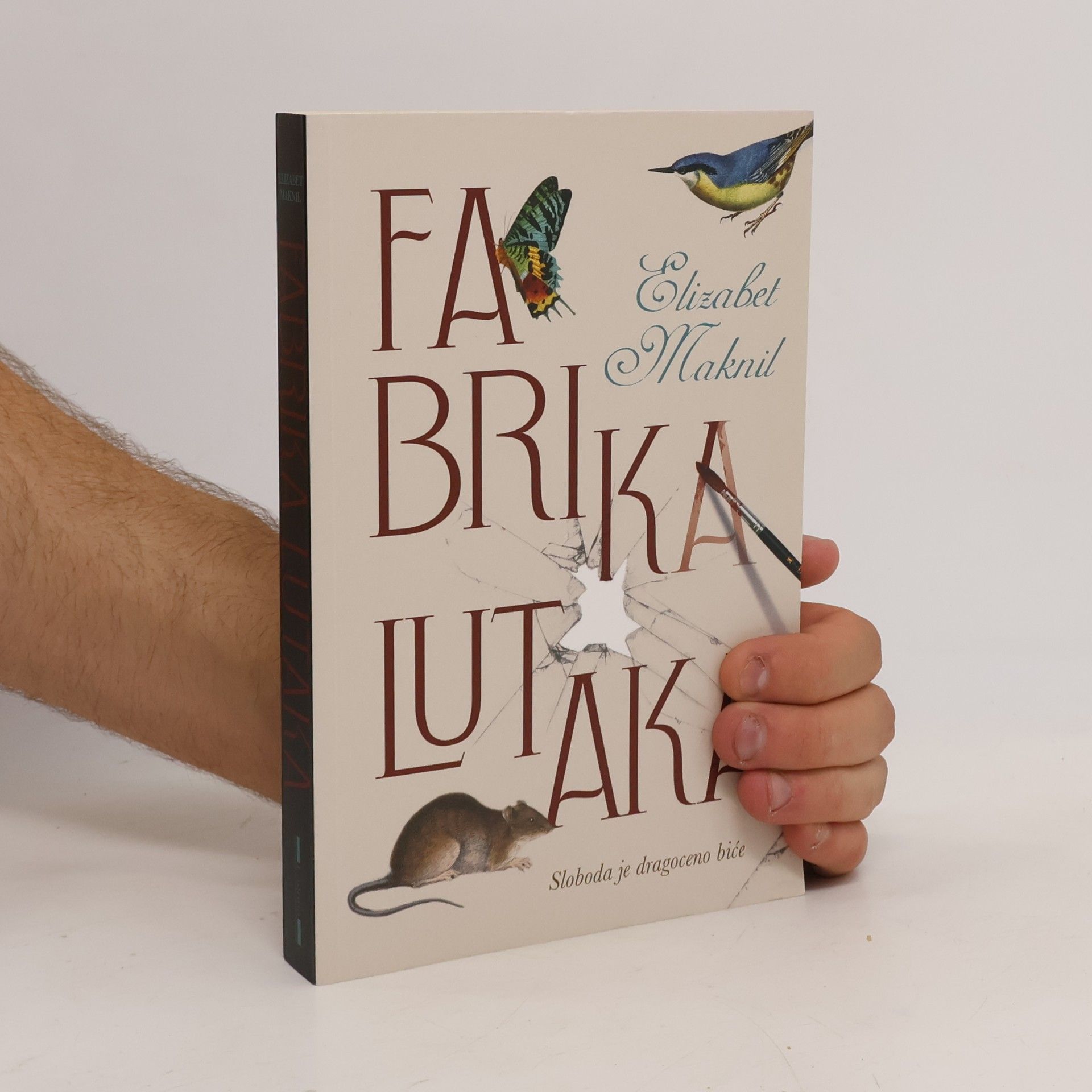 Elizabeth Macneal Fabrika lutaka