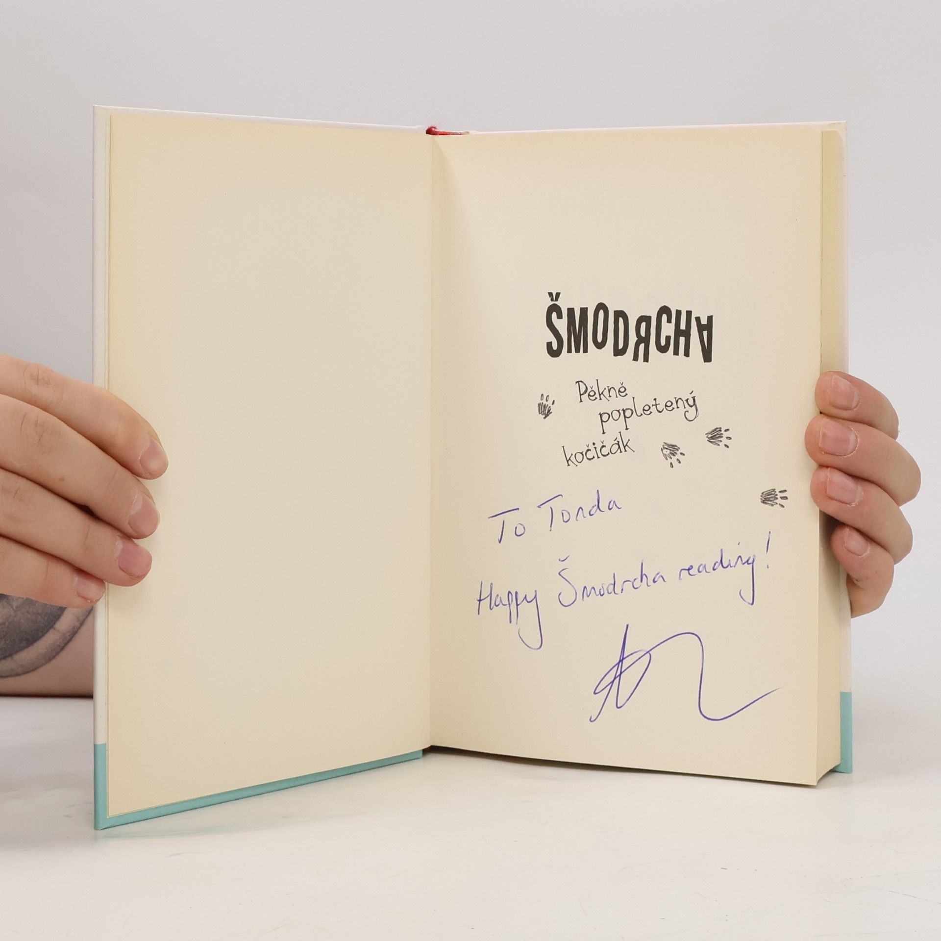 Archie Kimpton Šmodrcha : pěkně popletený kočičák