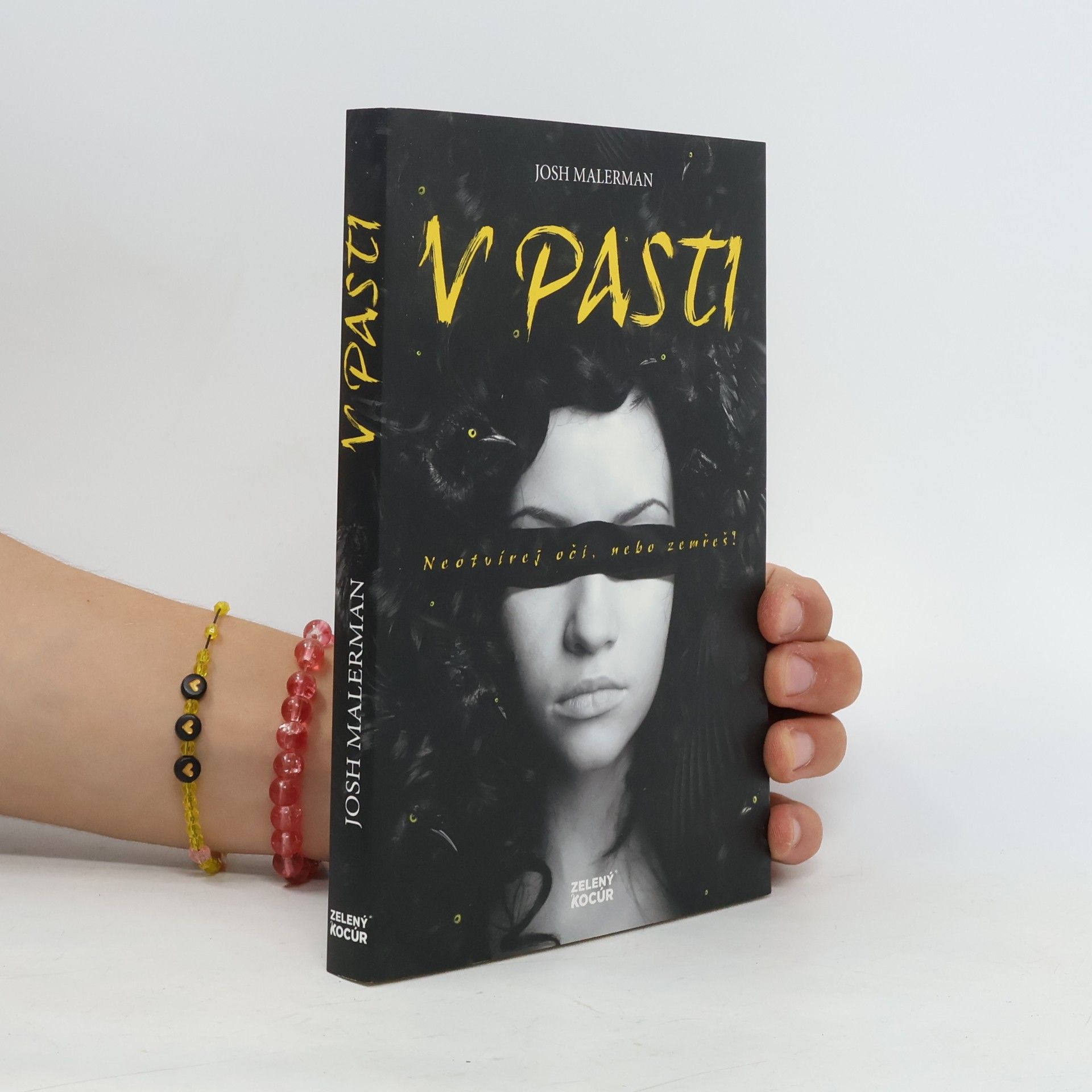 Josh Malerman V pasti