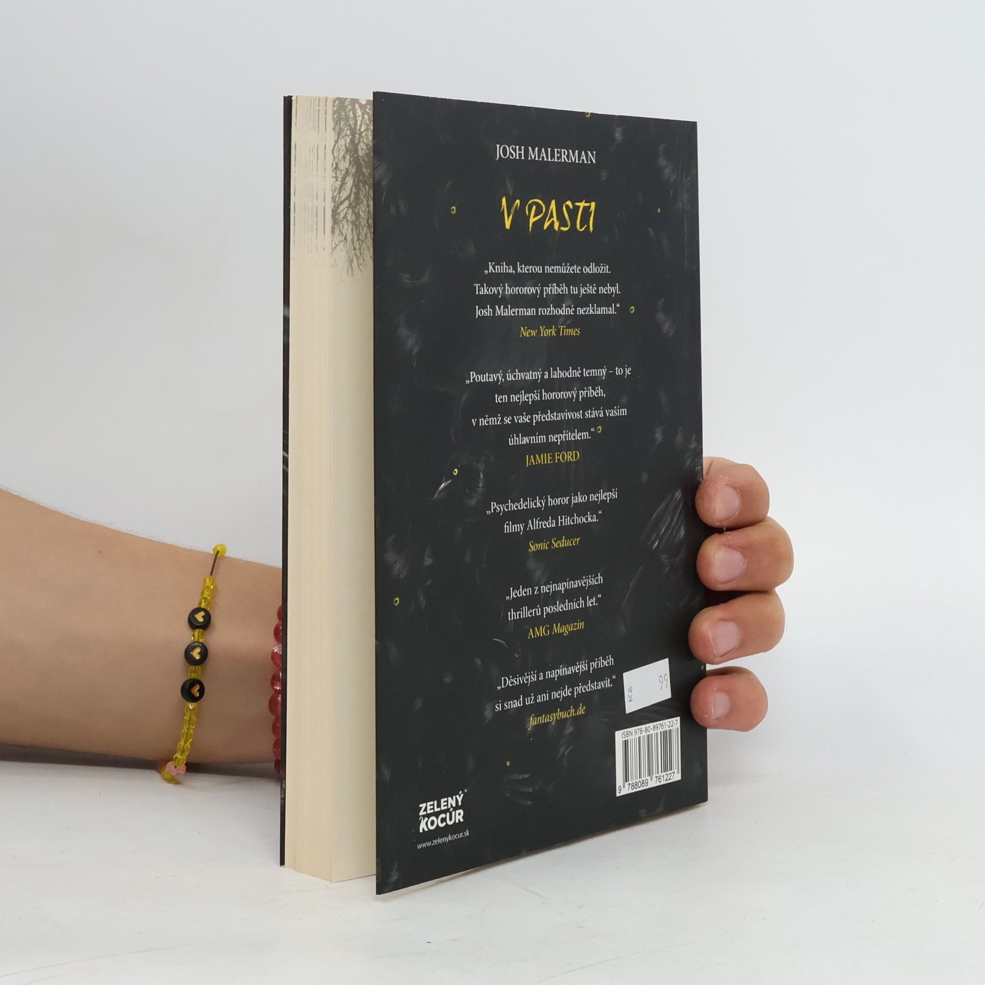 Josh Malerman V pasti