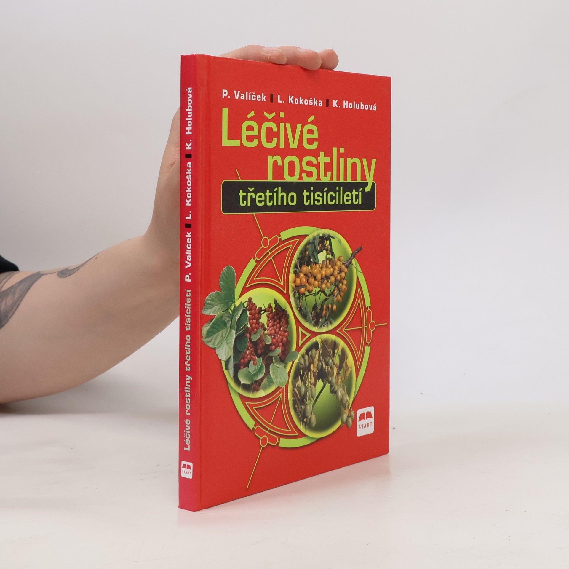 Léčivé rostliny třetího tisíciletí