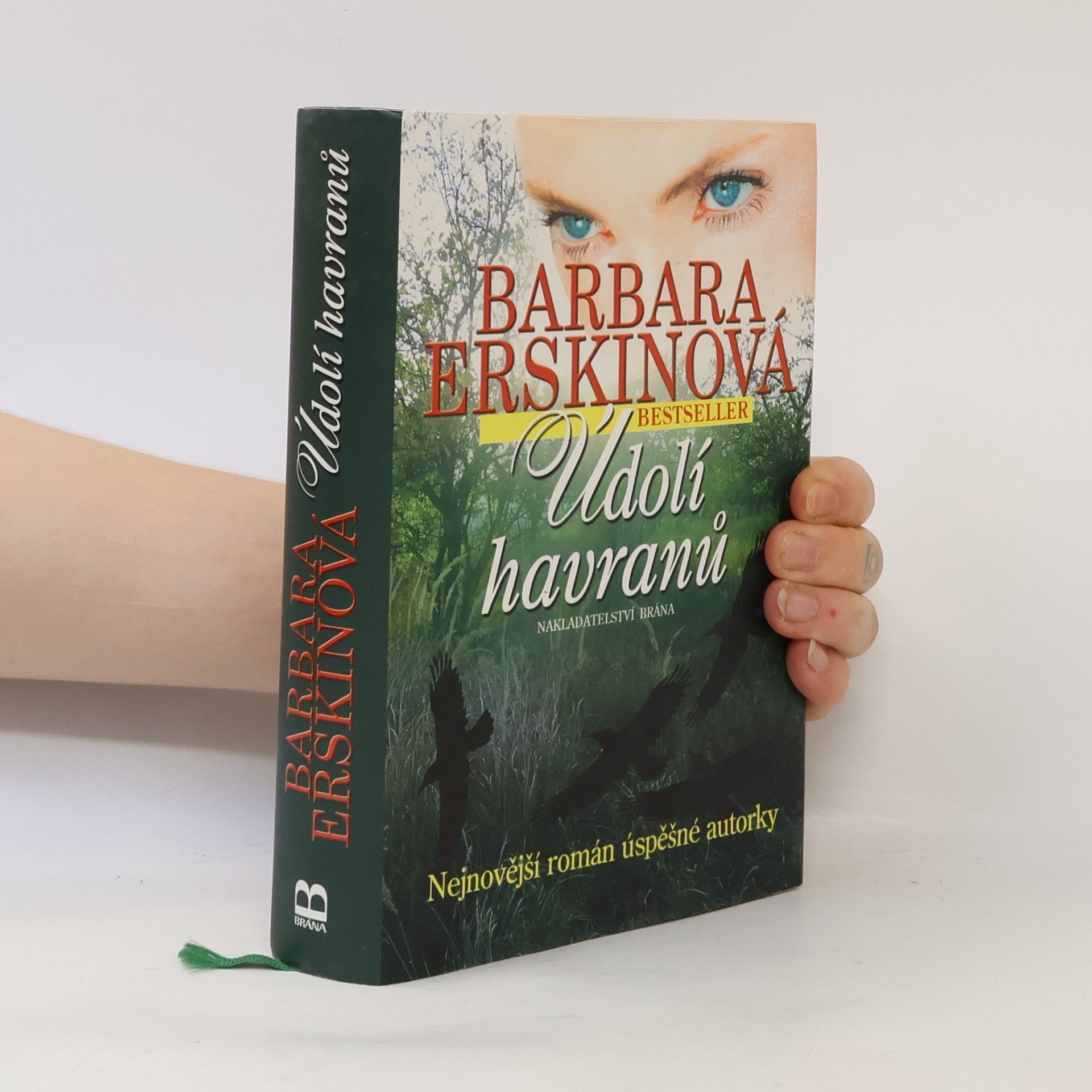 Barbara Erskinová Údolí havranů