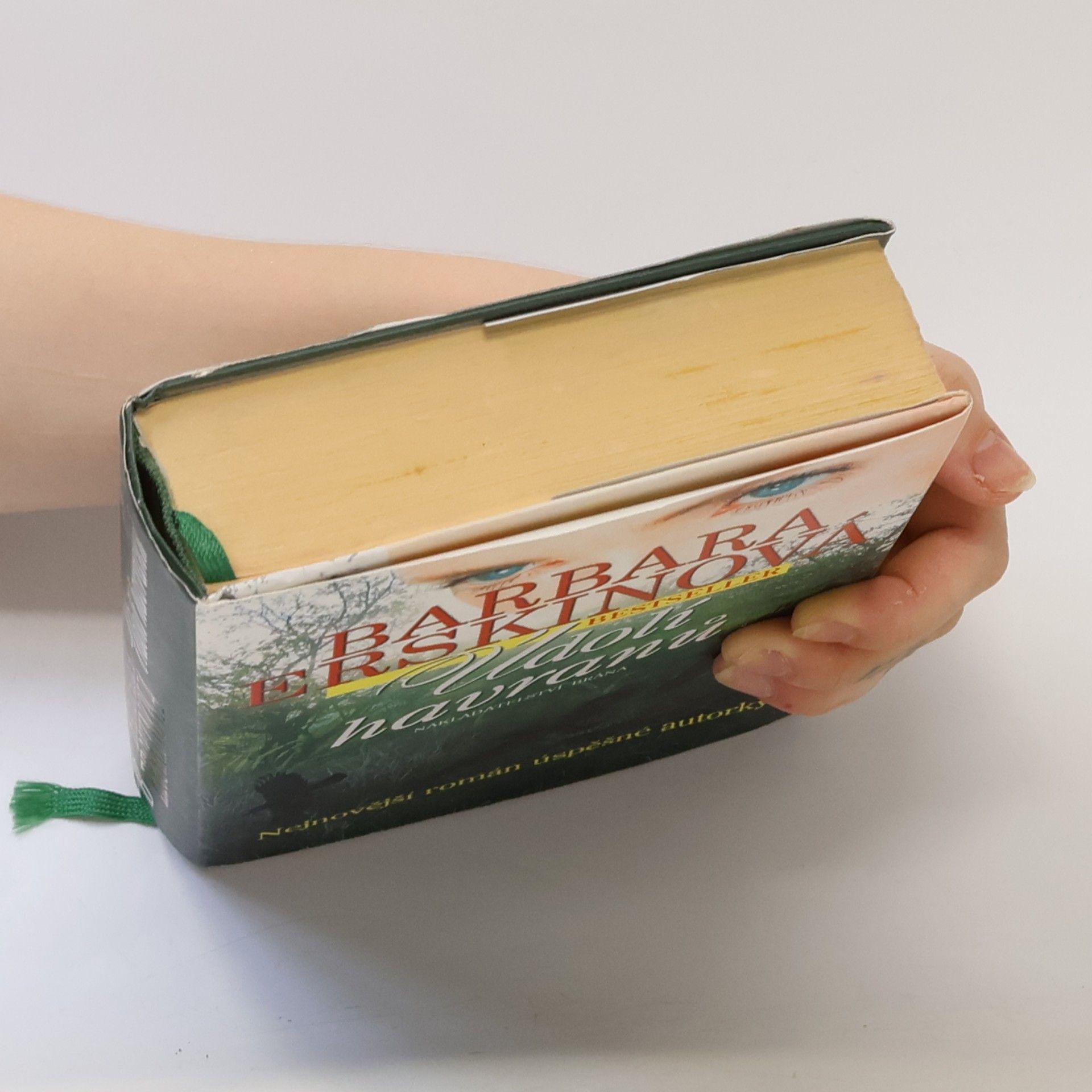 Barbara Erskinová Údolí havranů
