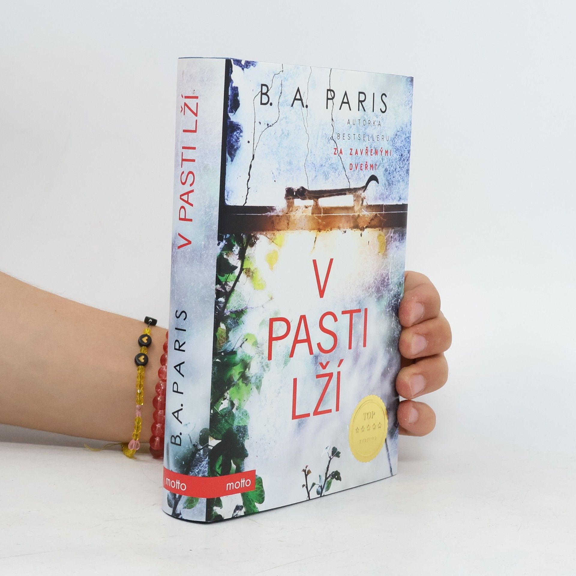 B. A. Paris V pasti lží