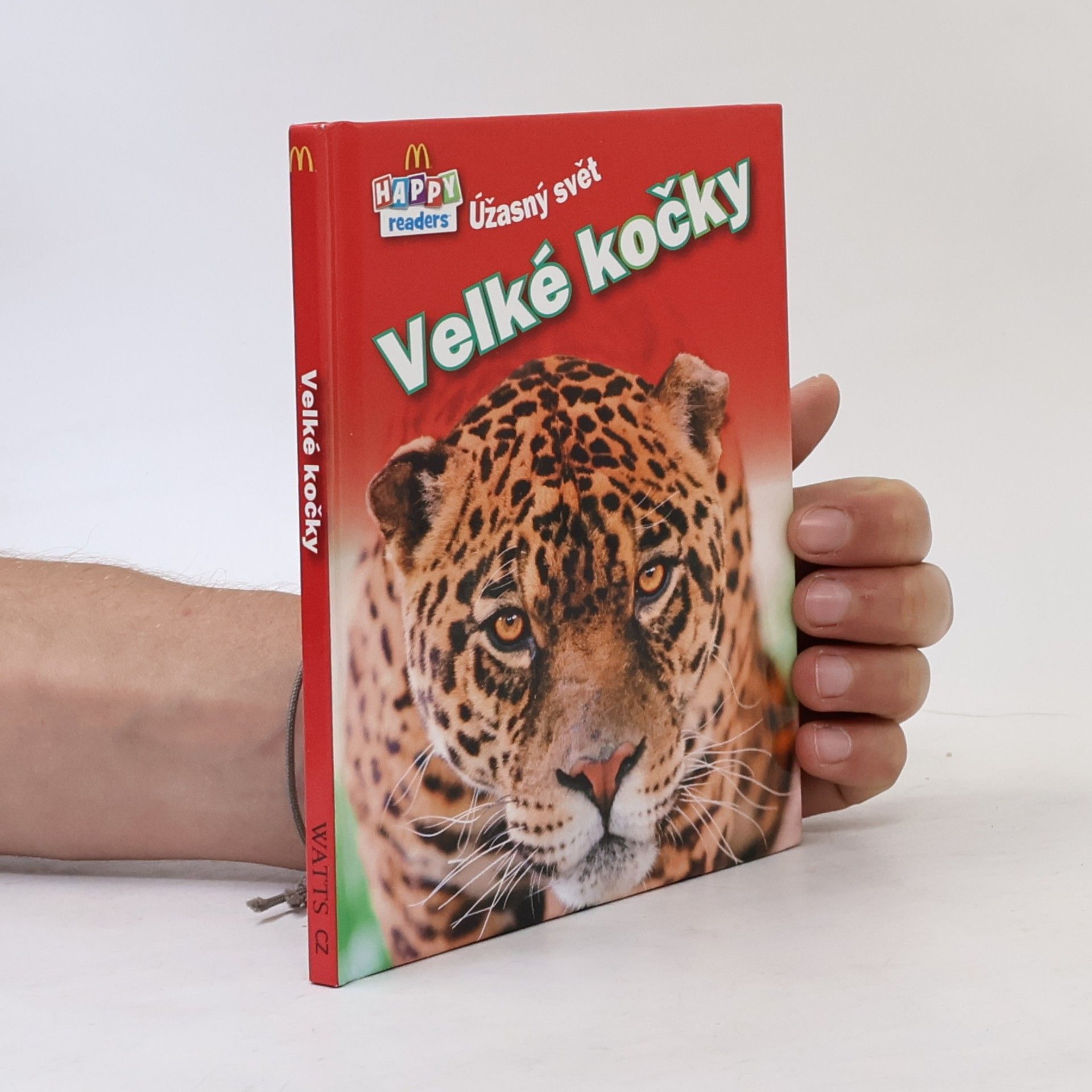AA.VV. Velké kočky