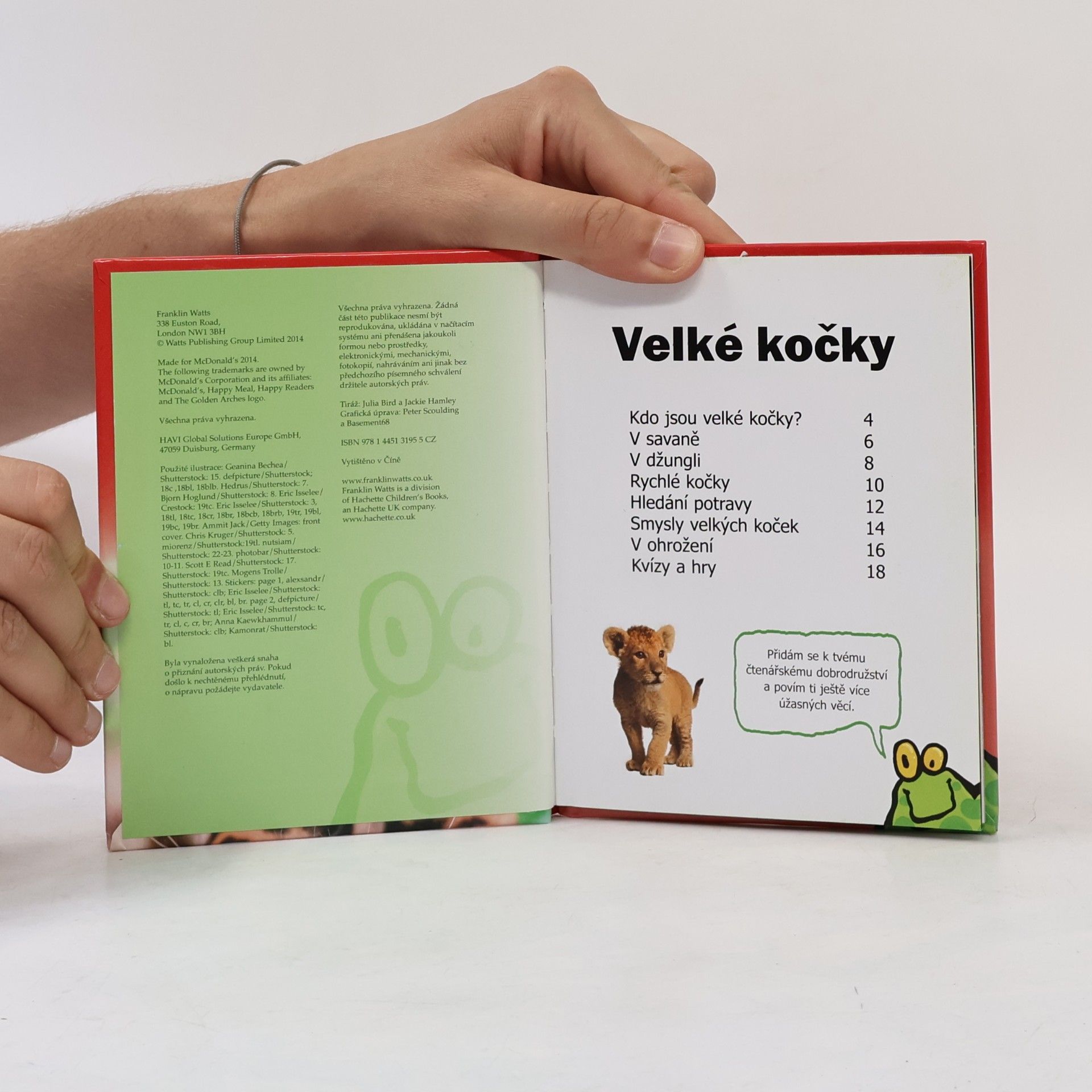 Autorenkollektiv Velké kočky