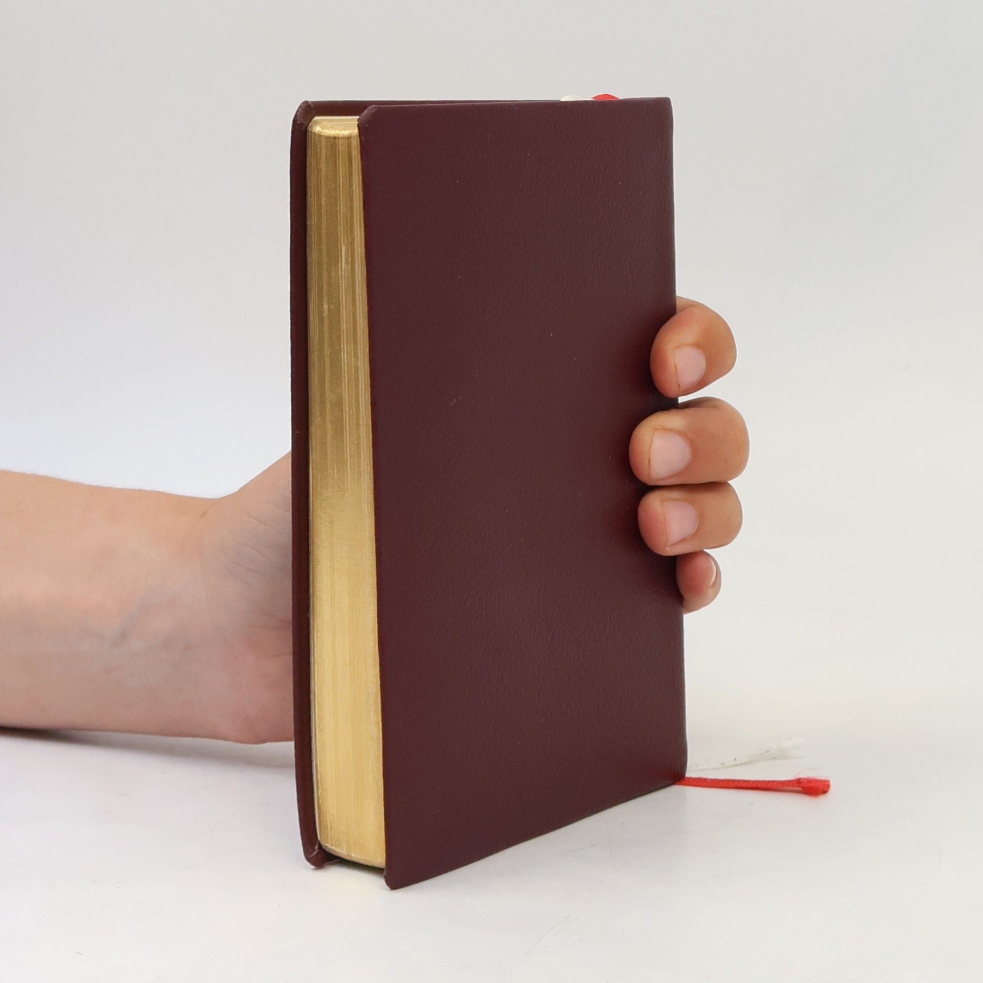 Collectif d'auteurs Gotteslob