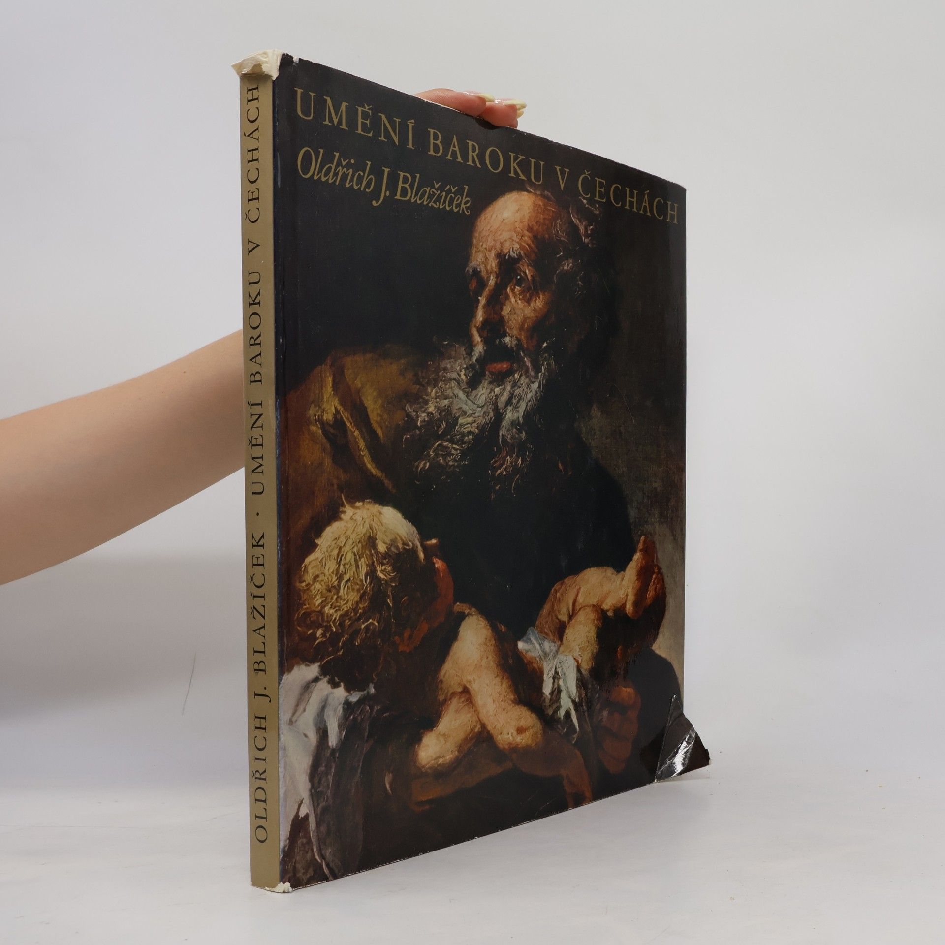 Oldřich J. Blažíček Umění baroku v Čechách