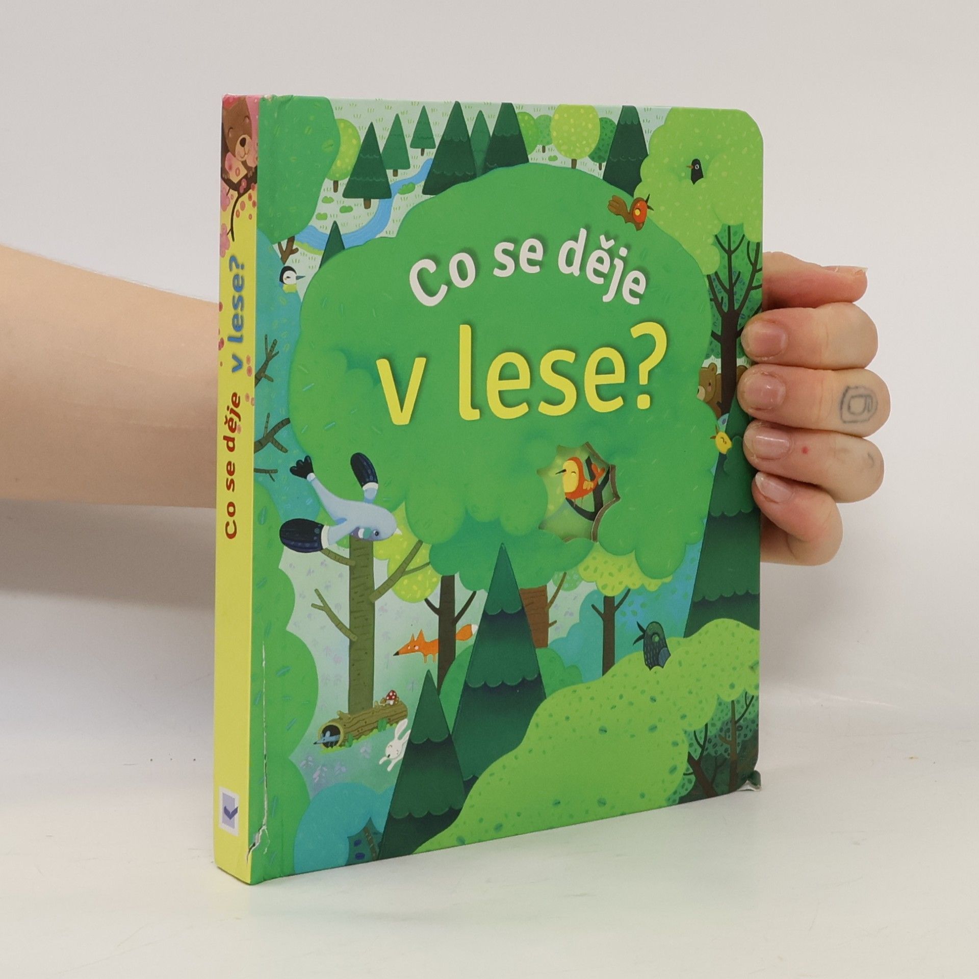Anna Milbourne Co se děje v lese?
