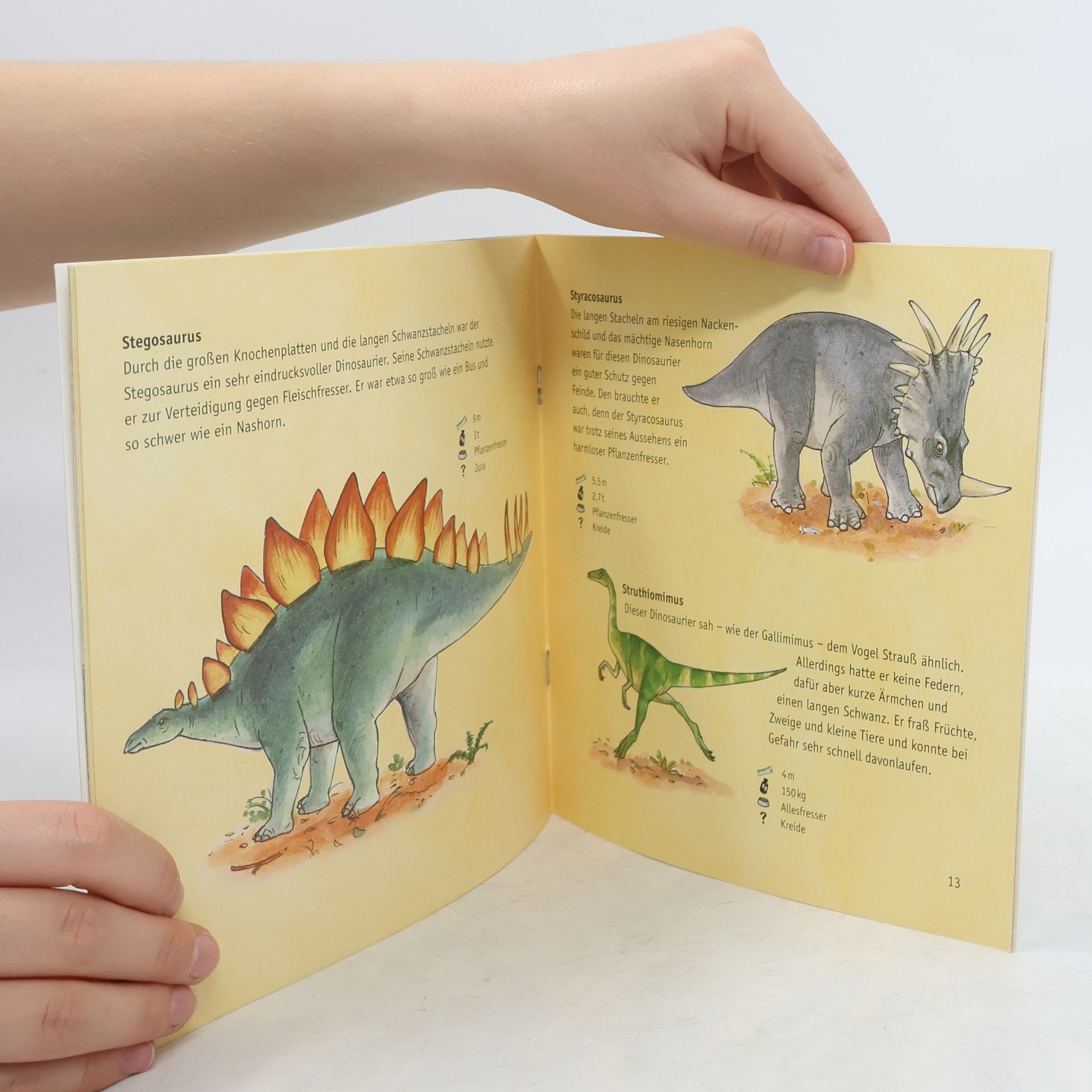 Imke Rudel Lesemaus - 64: Wie heißt der Dinosaurier