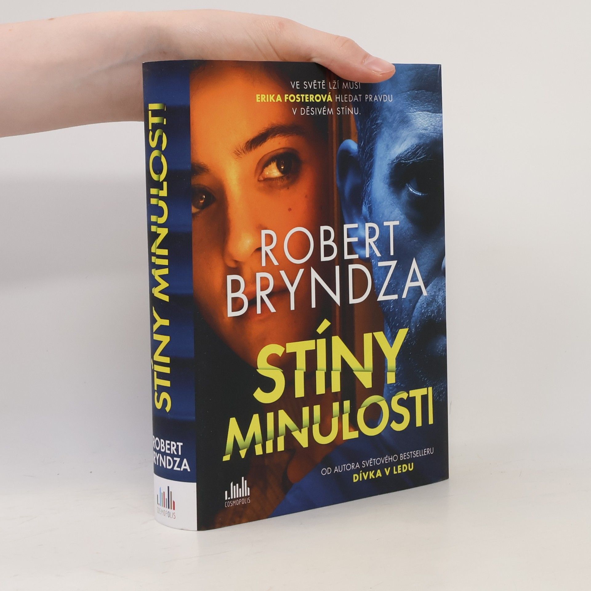 Robert Bryndza Stíny minulosti