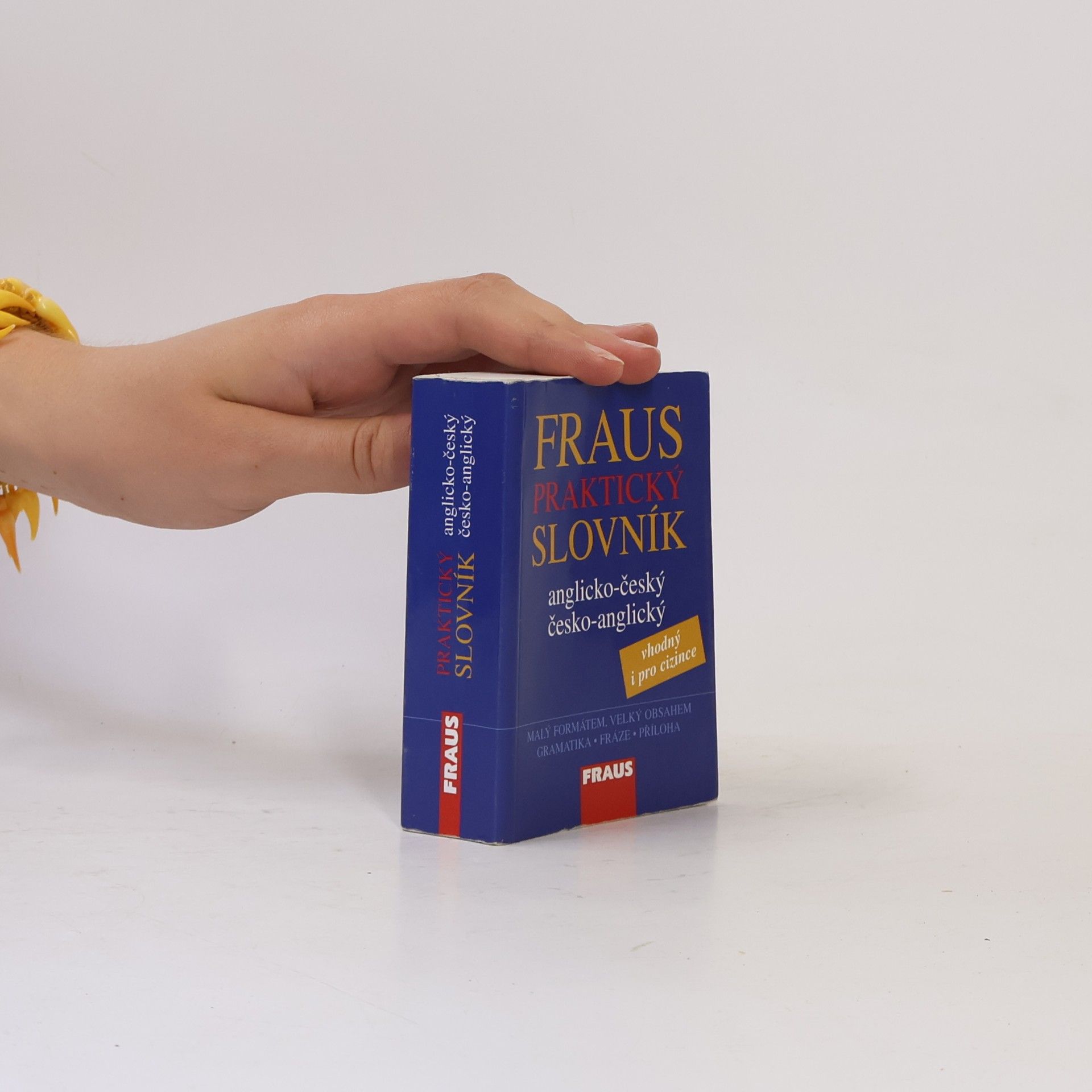 Leigh Mitchell Fraus praktický slovník anglicko-český, česko-anglický