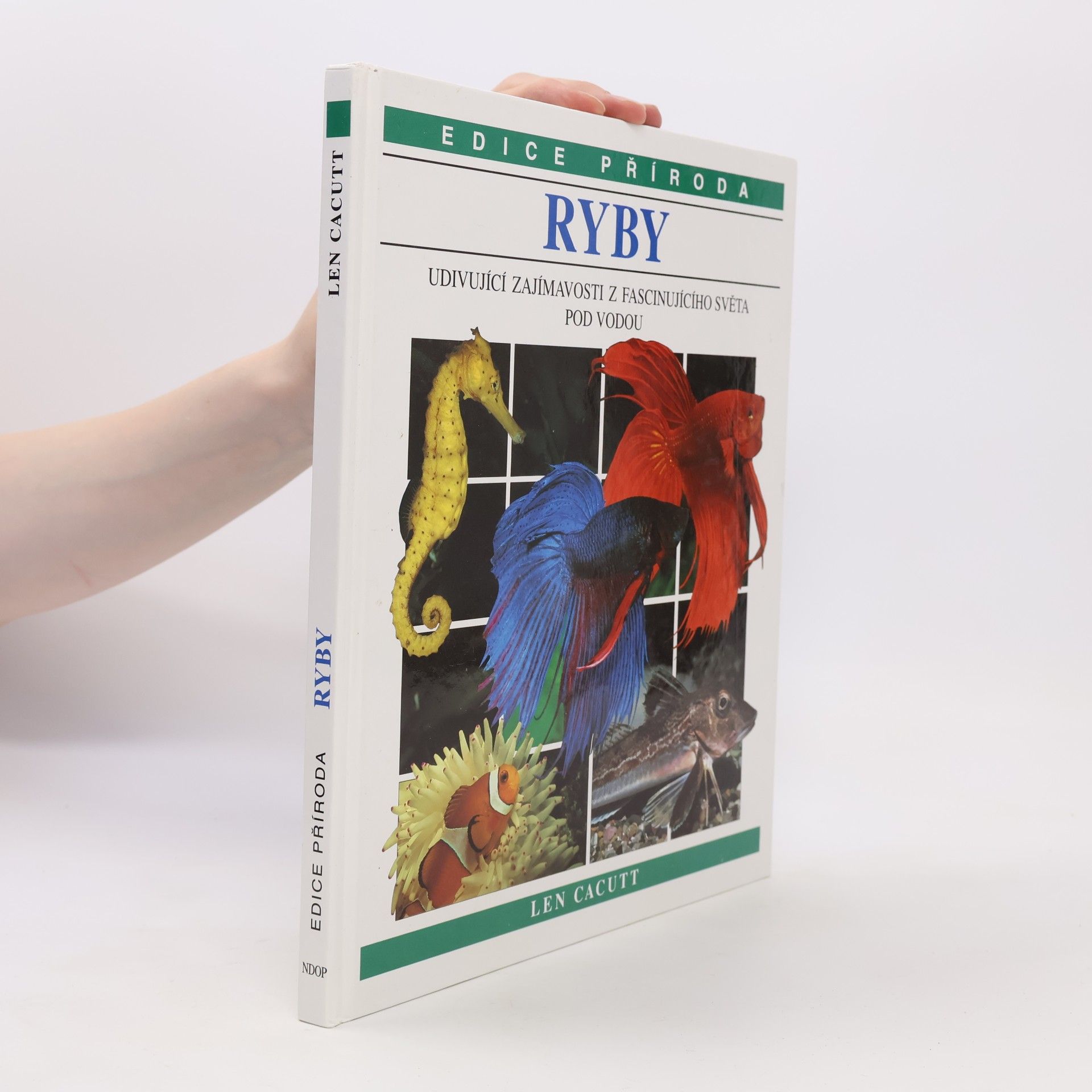 Len Cacutt Ryby
