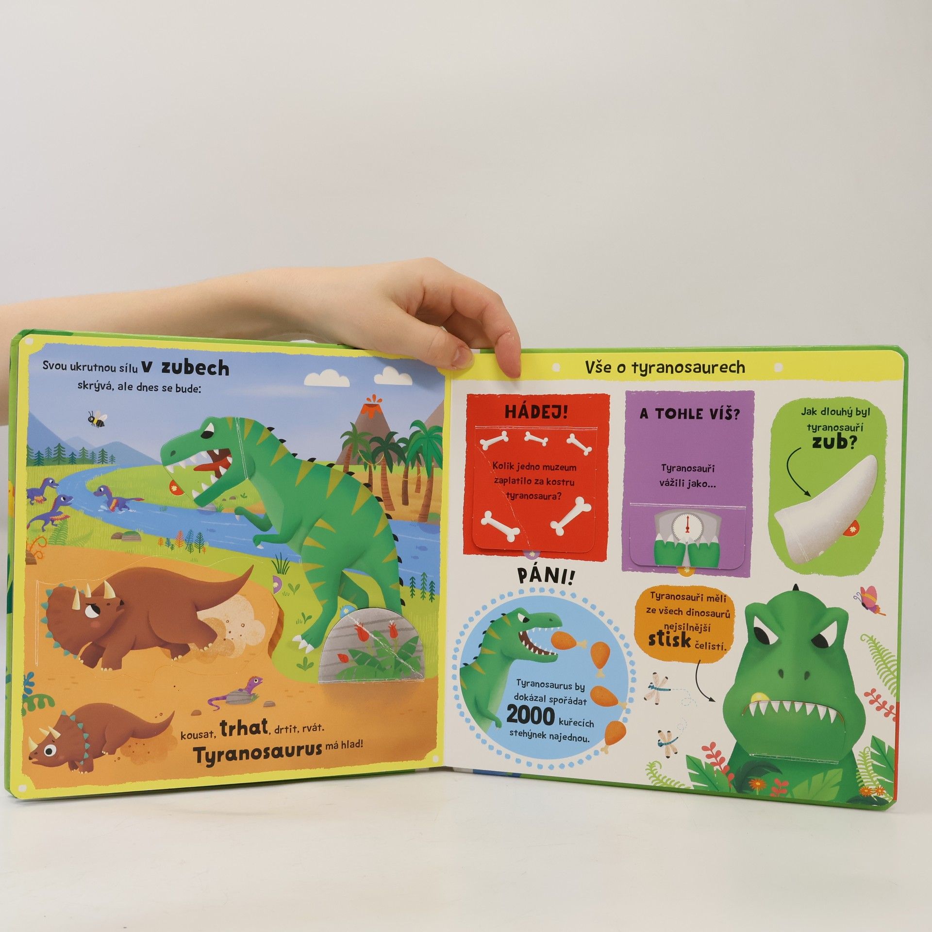 Naray Yoon To je něco!. Obří dinosauři