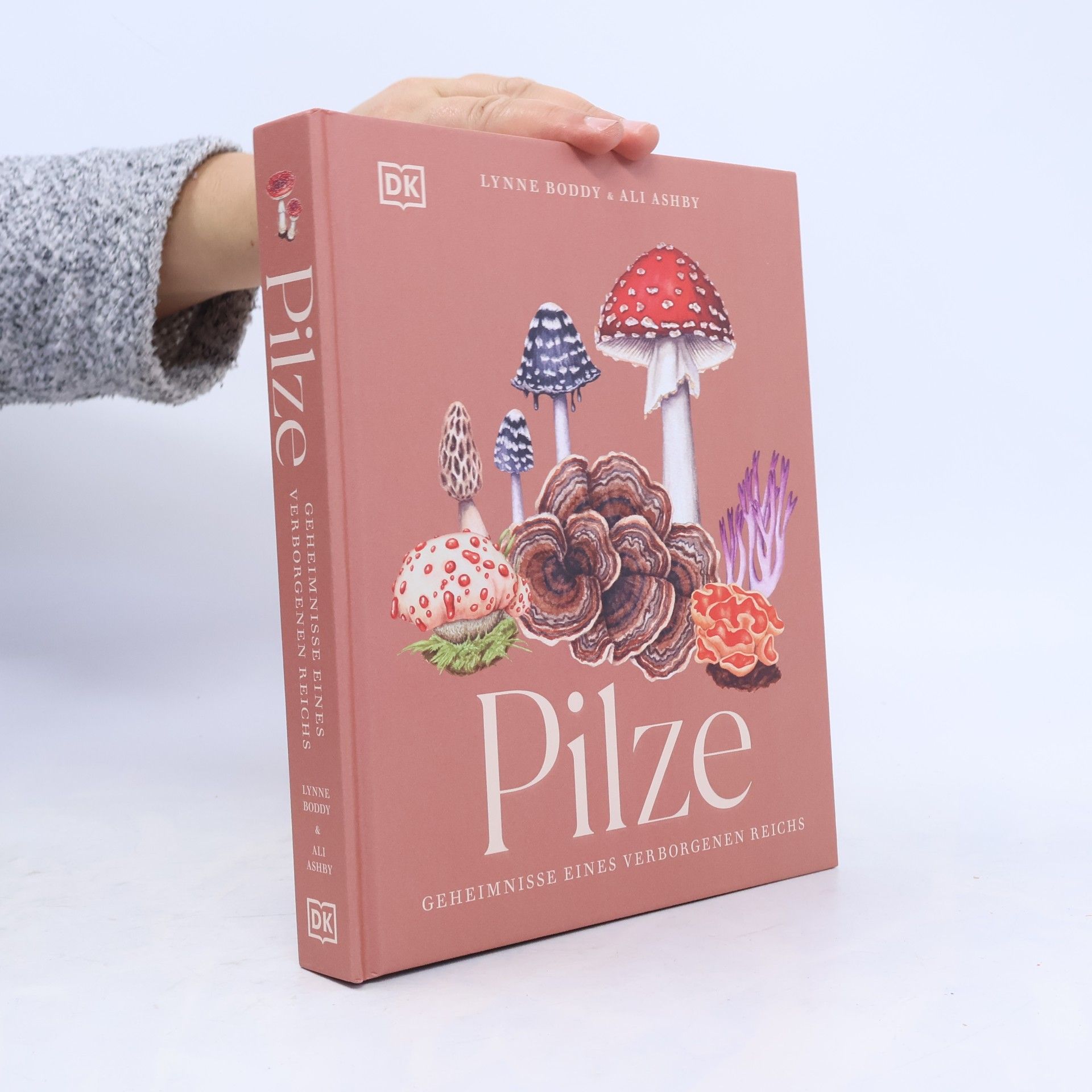 Ali Ashby Pilze