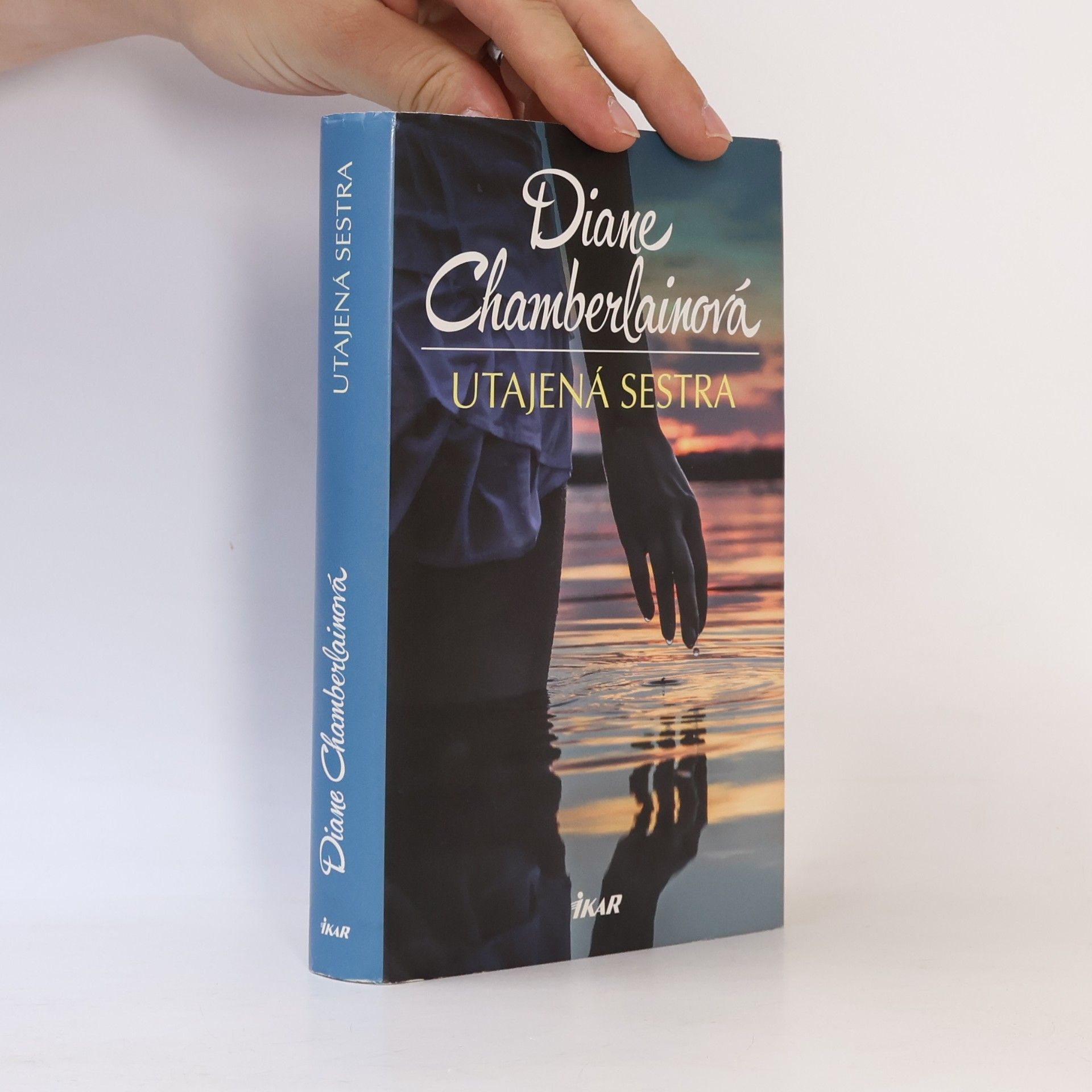 Diane Chamberlain Utajená sestra