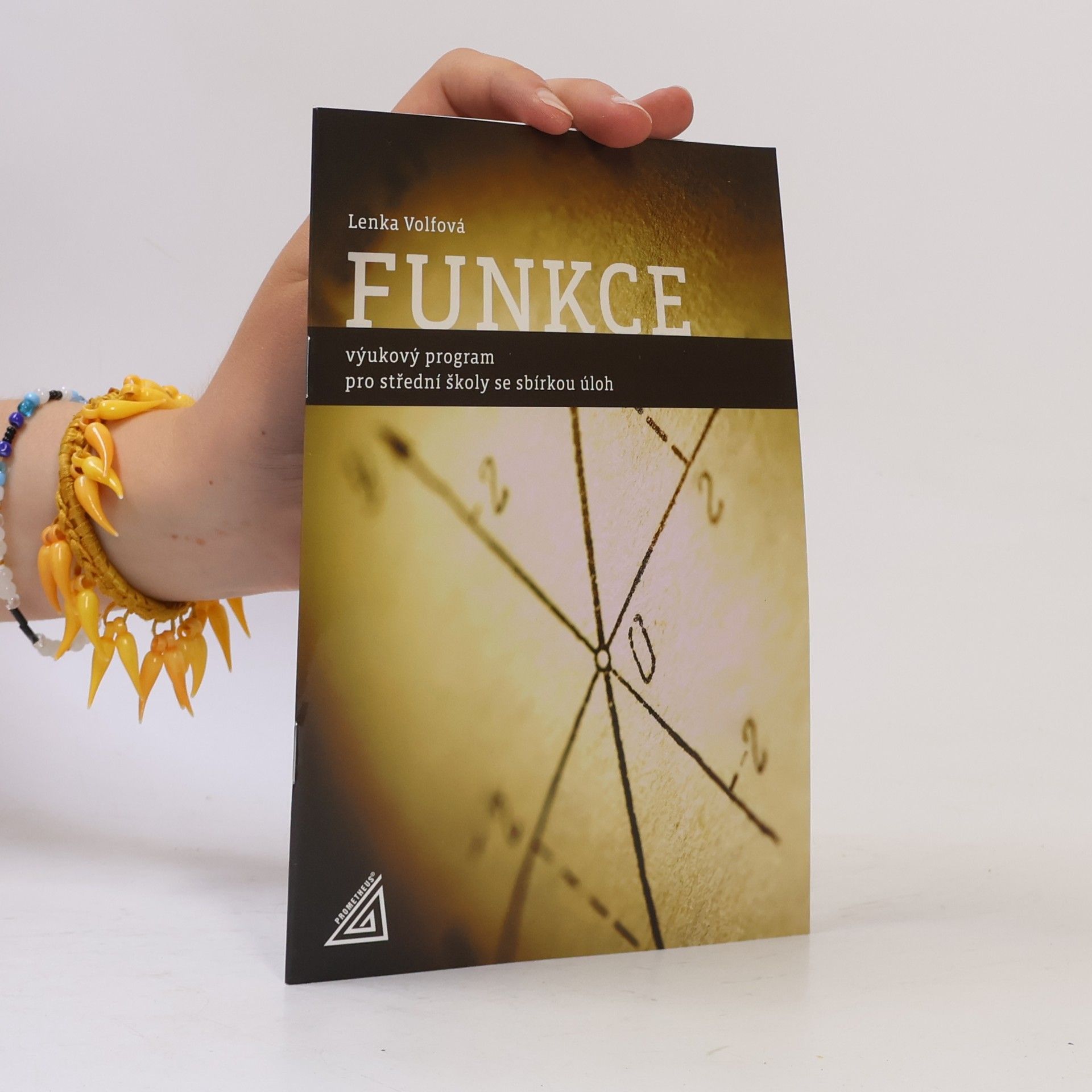 Lenka Volfová Funkce: výukový program pro střední školy