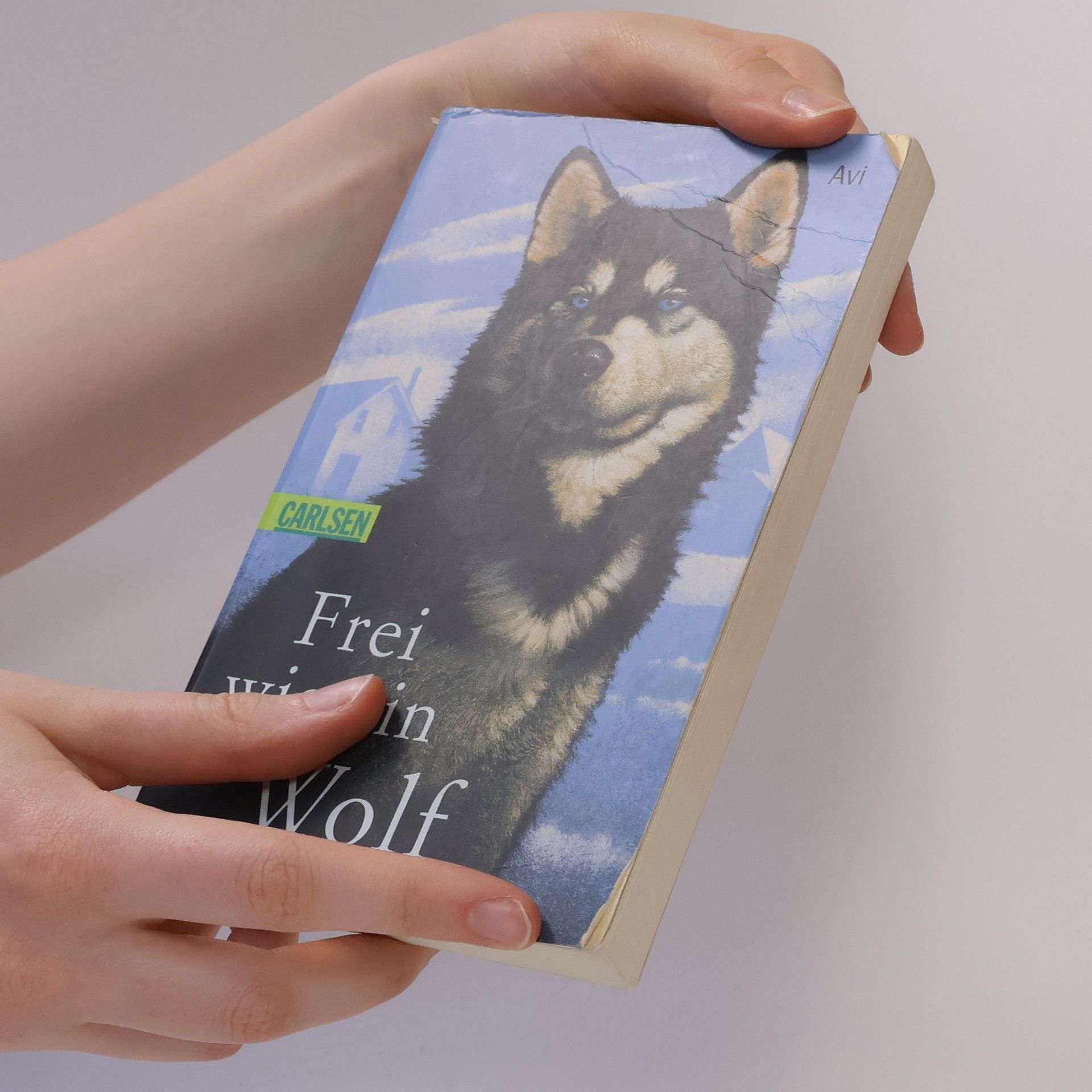 Avi Frei wie ein Wolf