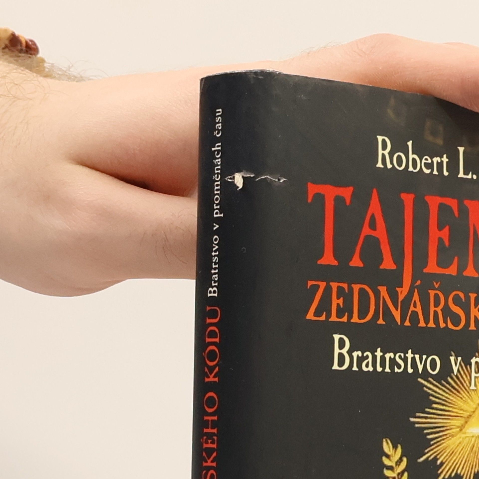 Robert L. D. Cooper Tajemství zednářského kódu. Bratrstvo v proměnách času