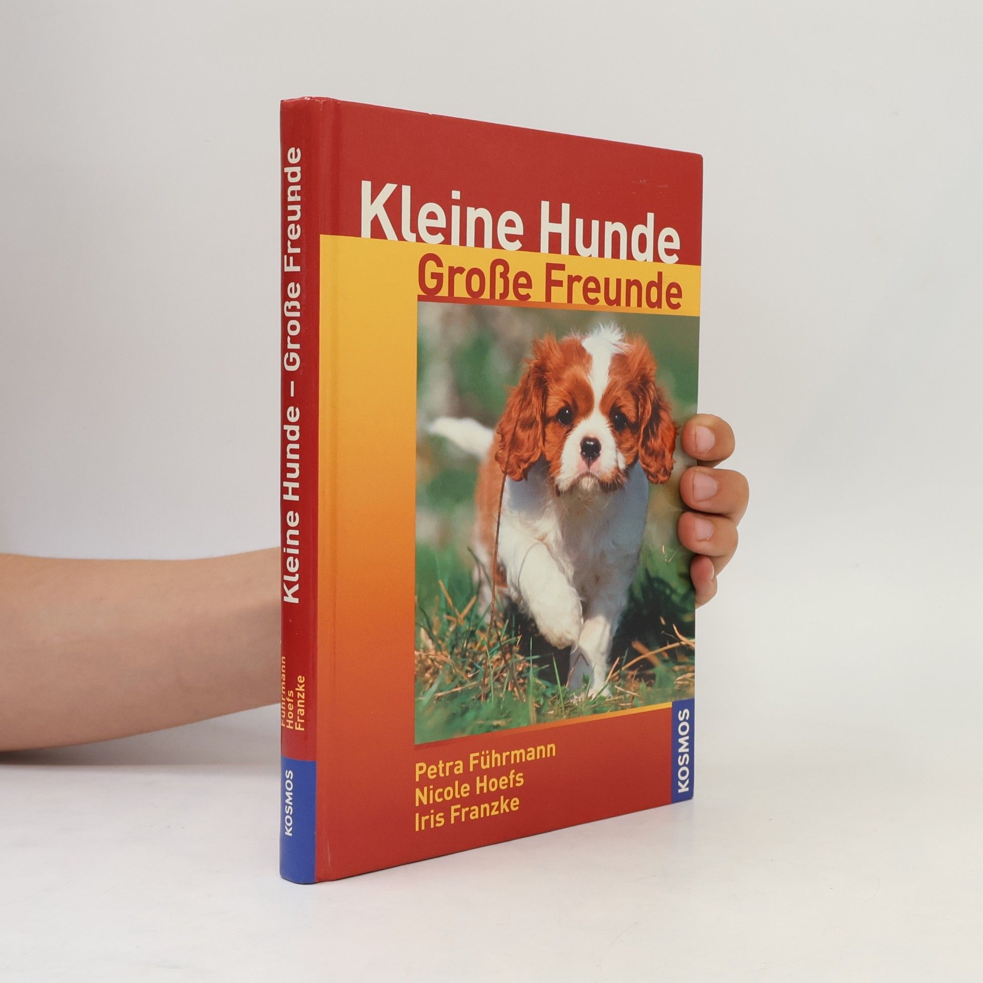 Kleine Hunde - große Freunde