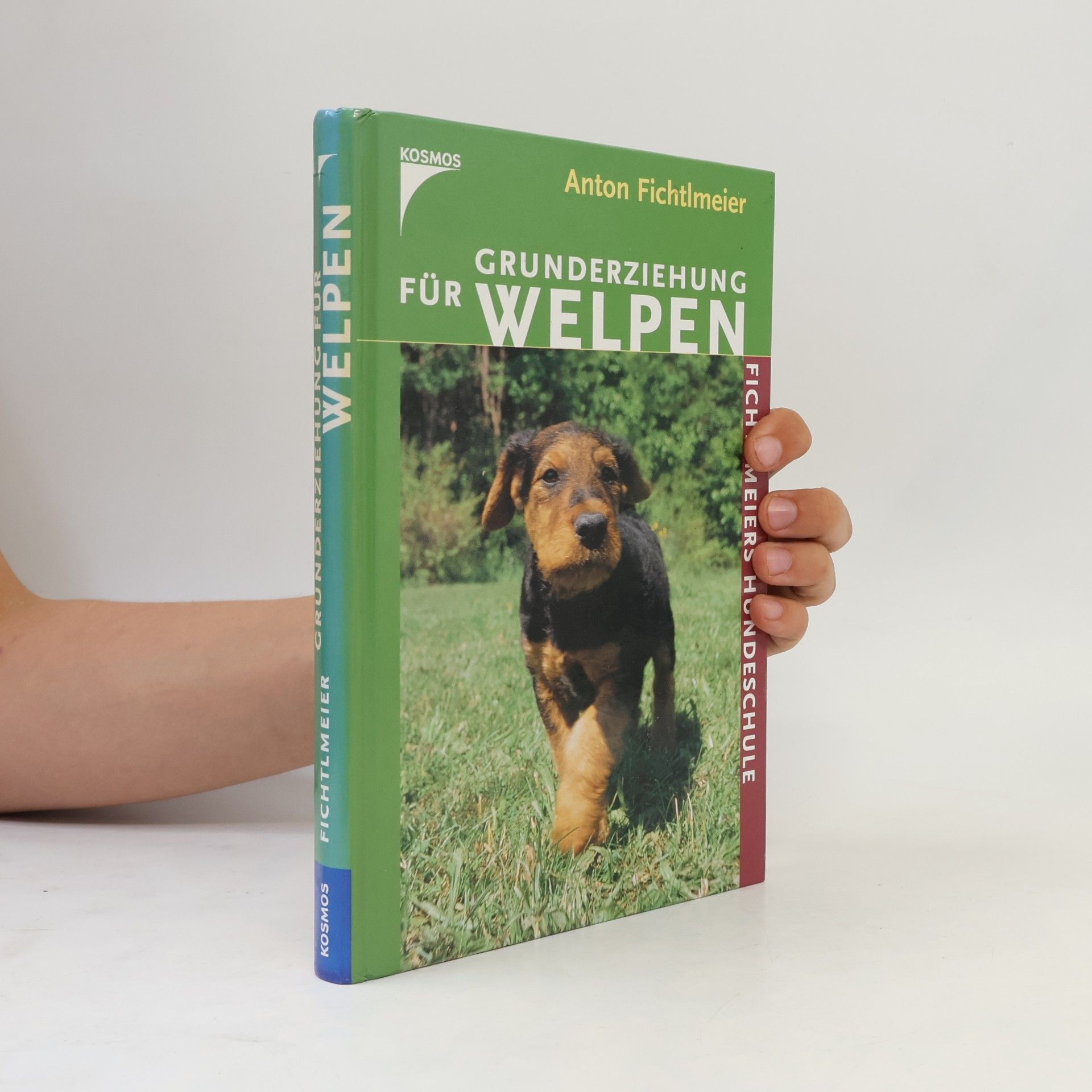 Grunderziehung für Welpen