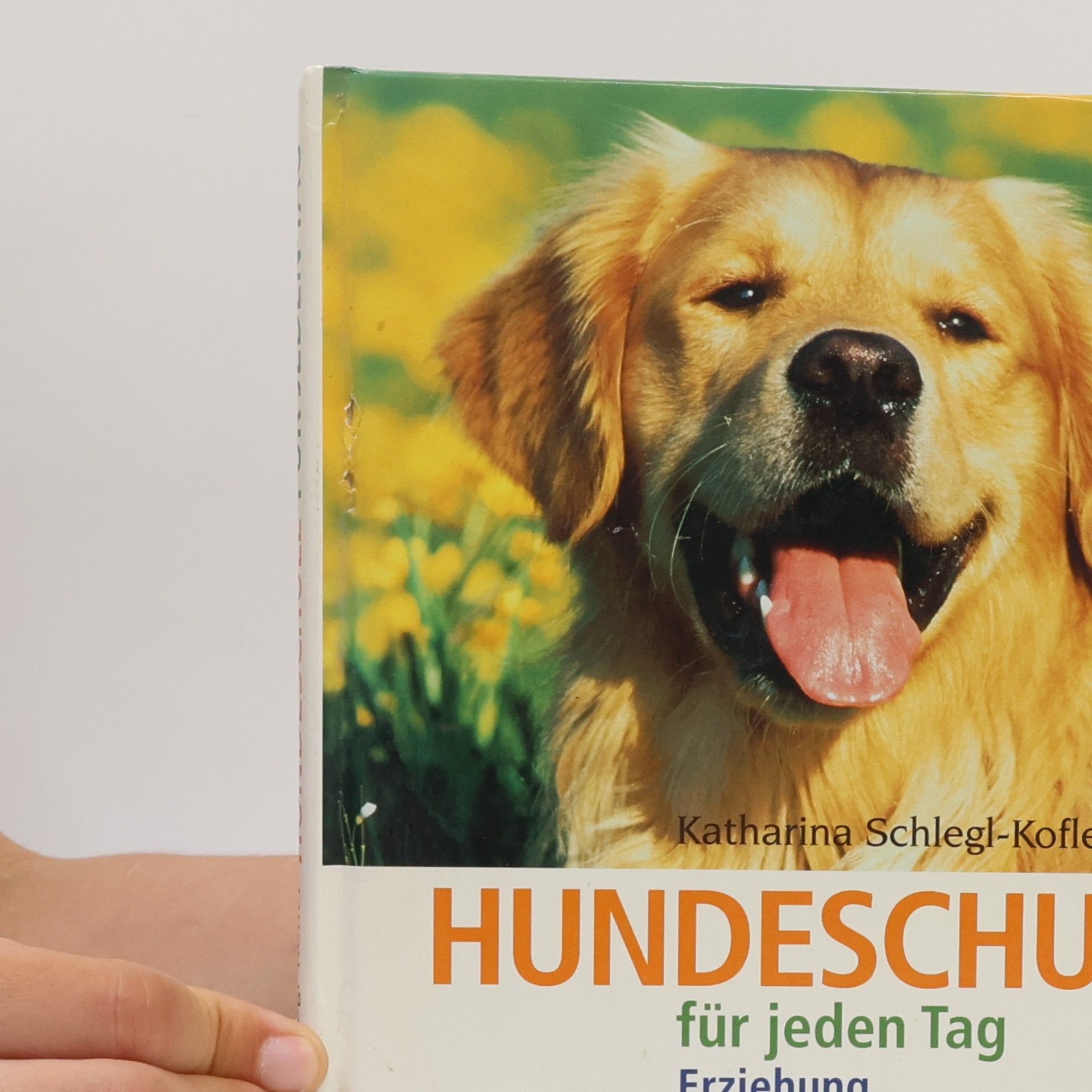 Katharina Schleg Kofler Hundeschule für jeden Tag