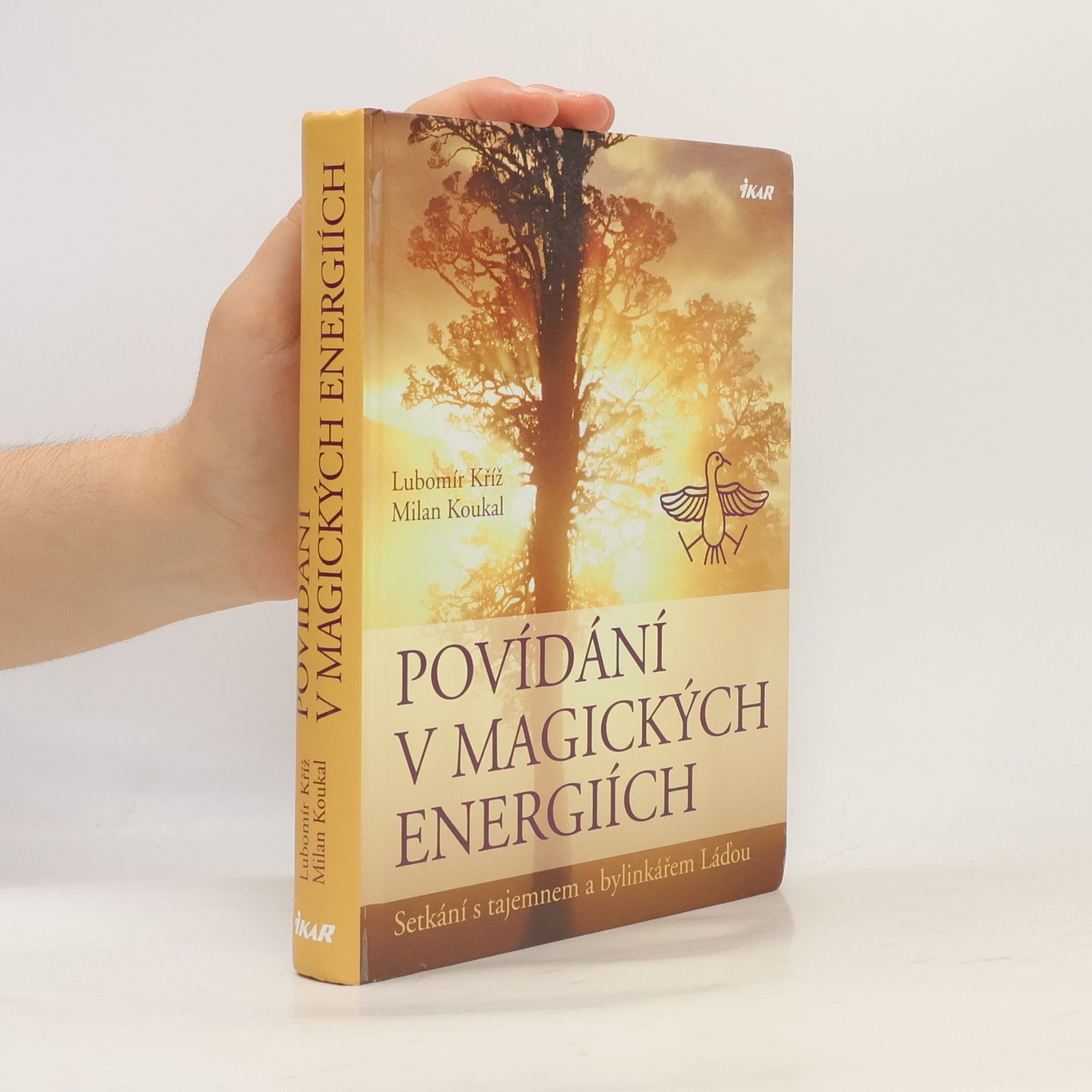 Lubomír Kříž Povídání v magických energiích