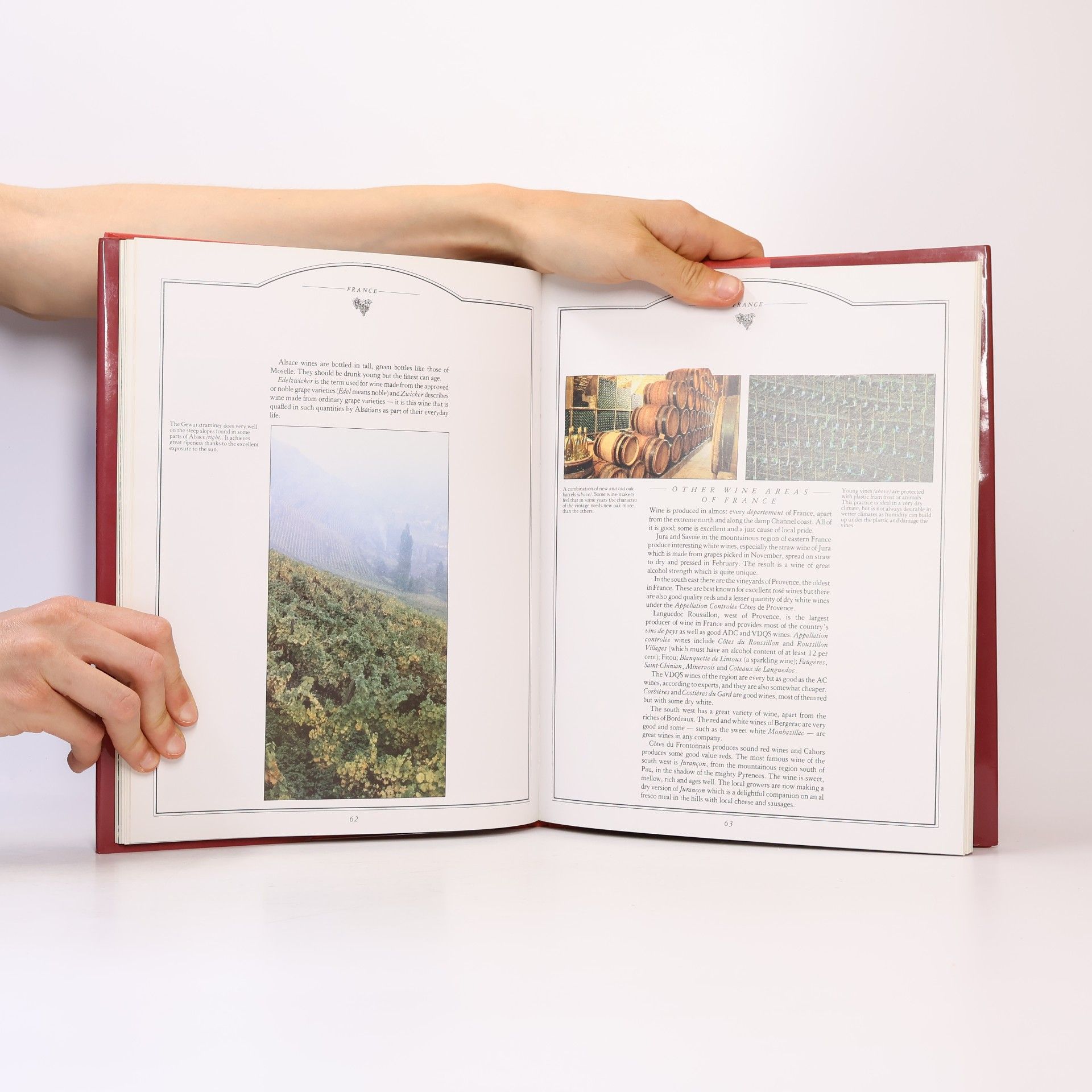 John Booth The Book of European Wines