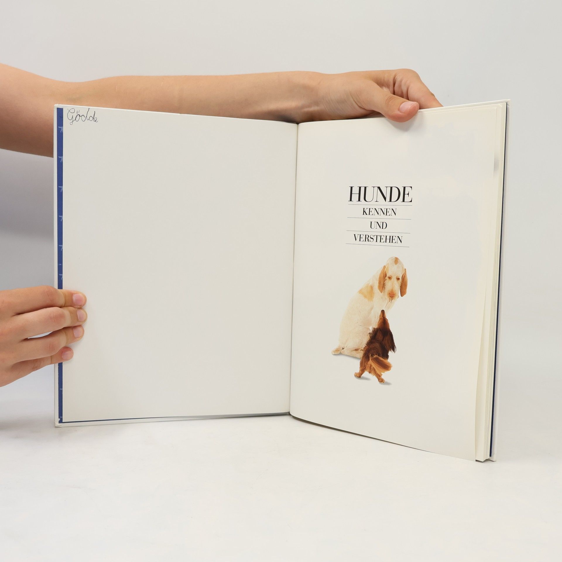 Bruce Fogle Hunde kennen und verstehen