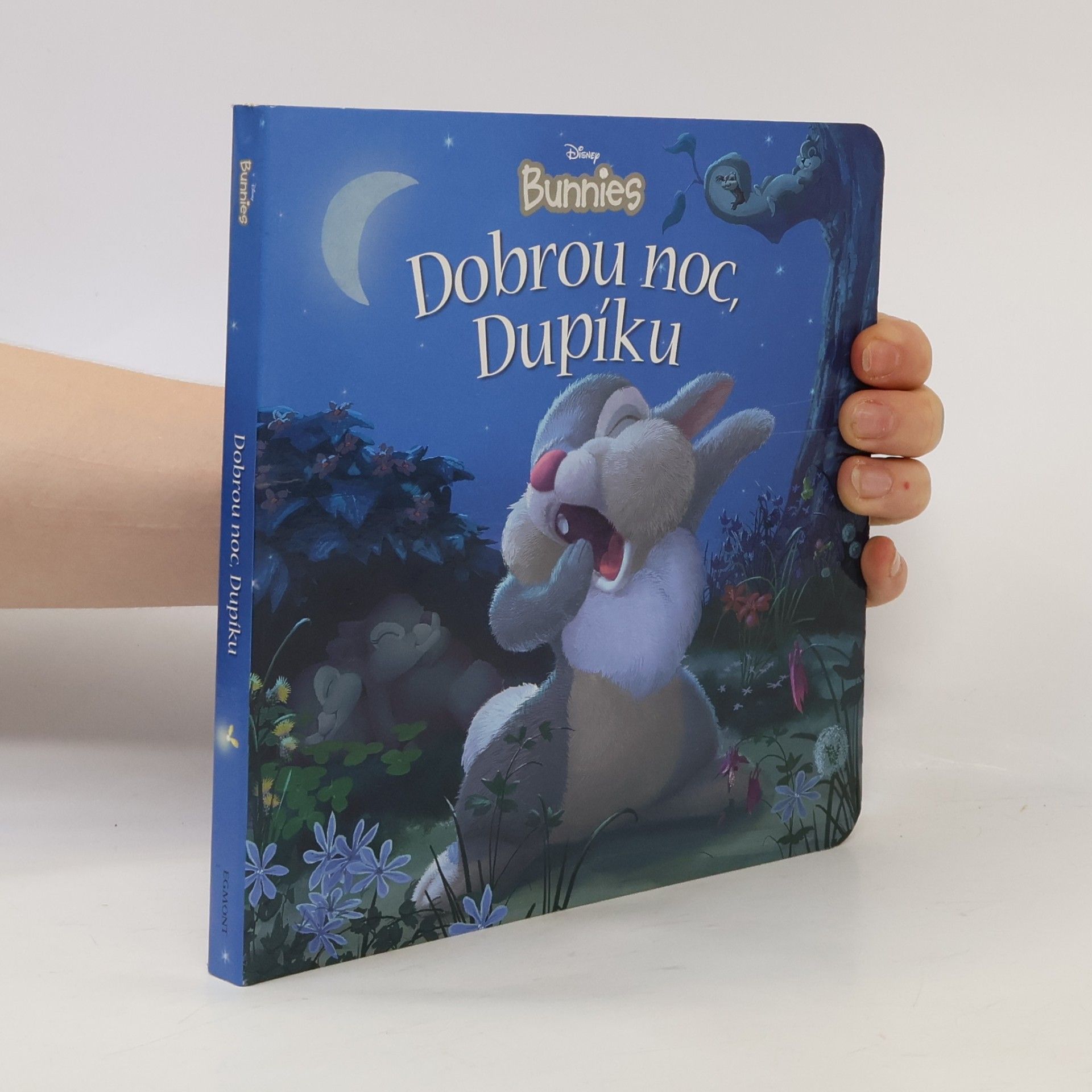 Kitty Richards Dobrou noc, Dupíku