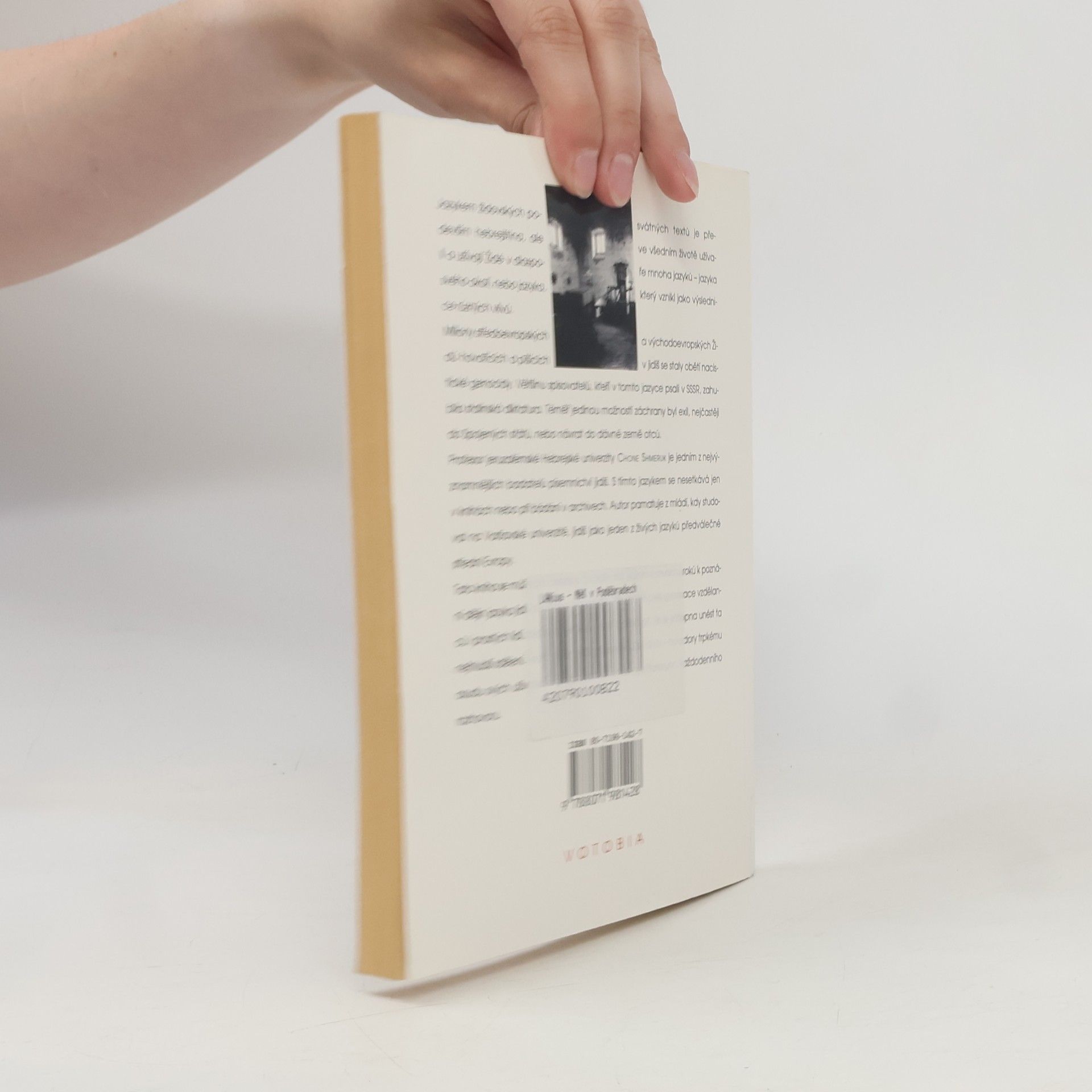 Václav Burian Dějiny literatury jidiš
