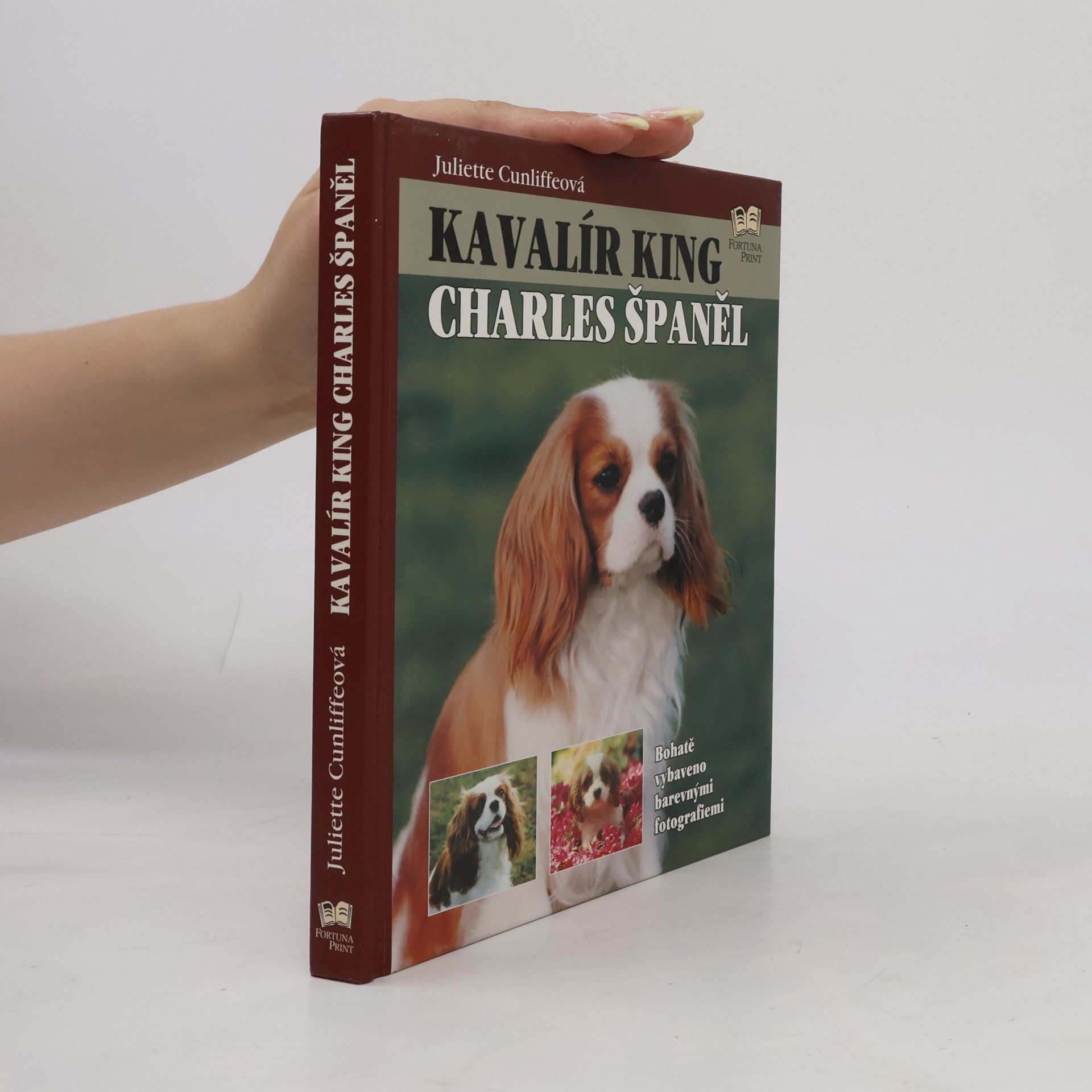 Juliette Cunliffe Kavalír king Charles španěl