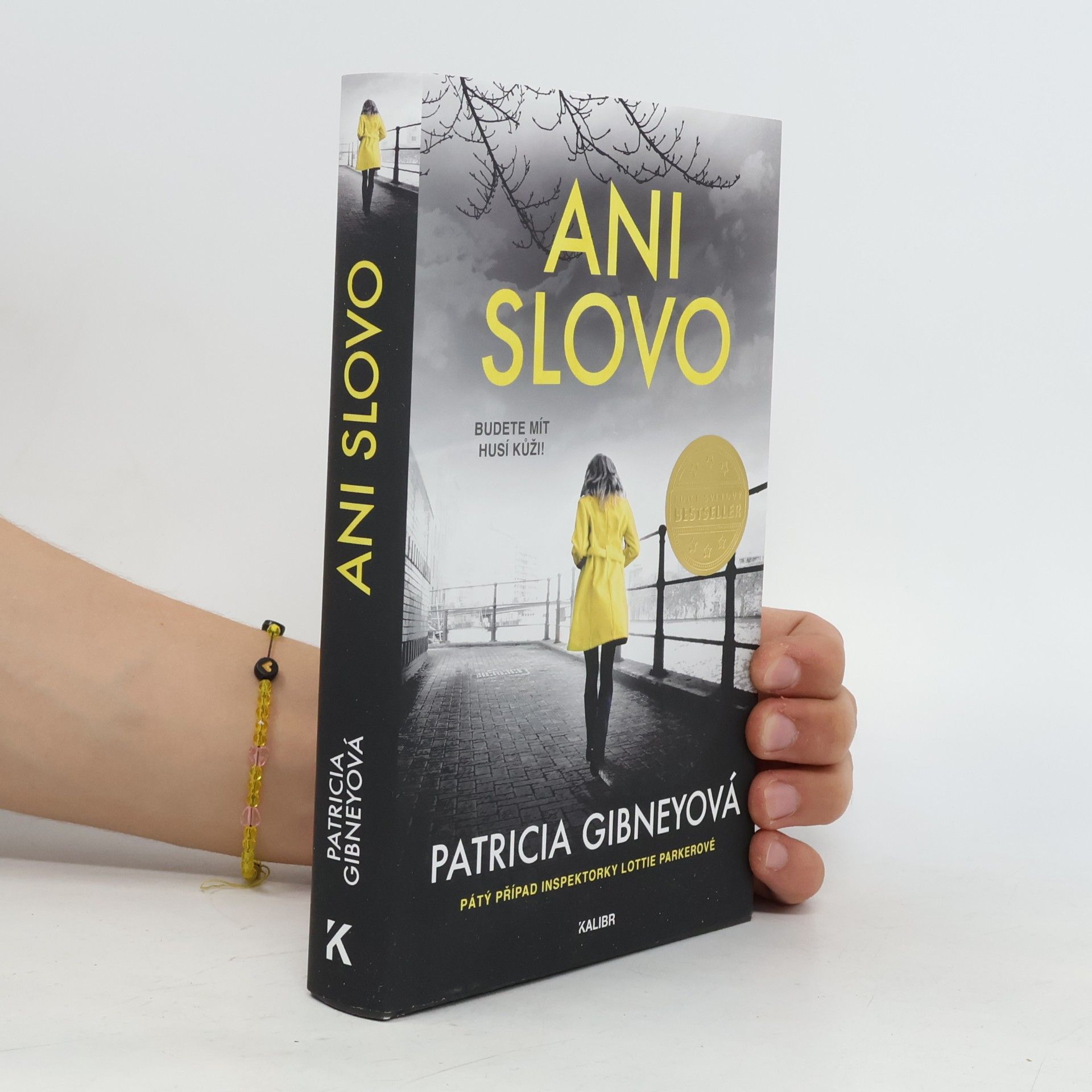 Patricia Gibney Ani slovo