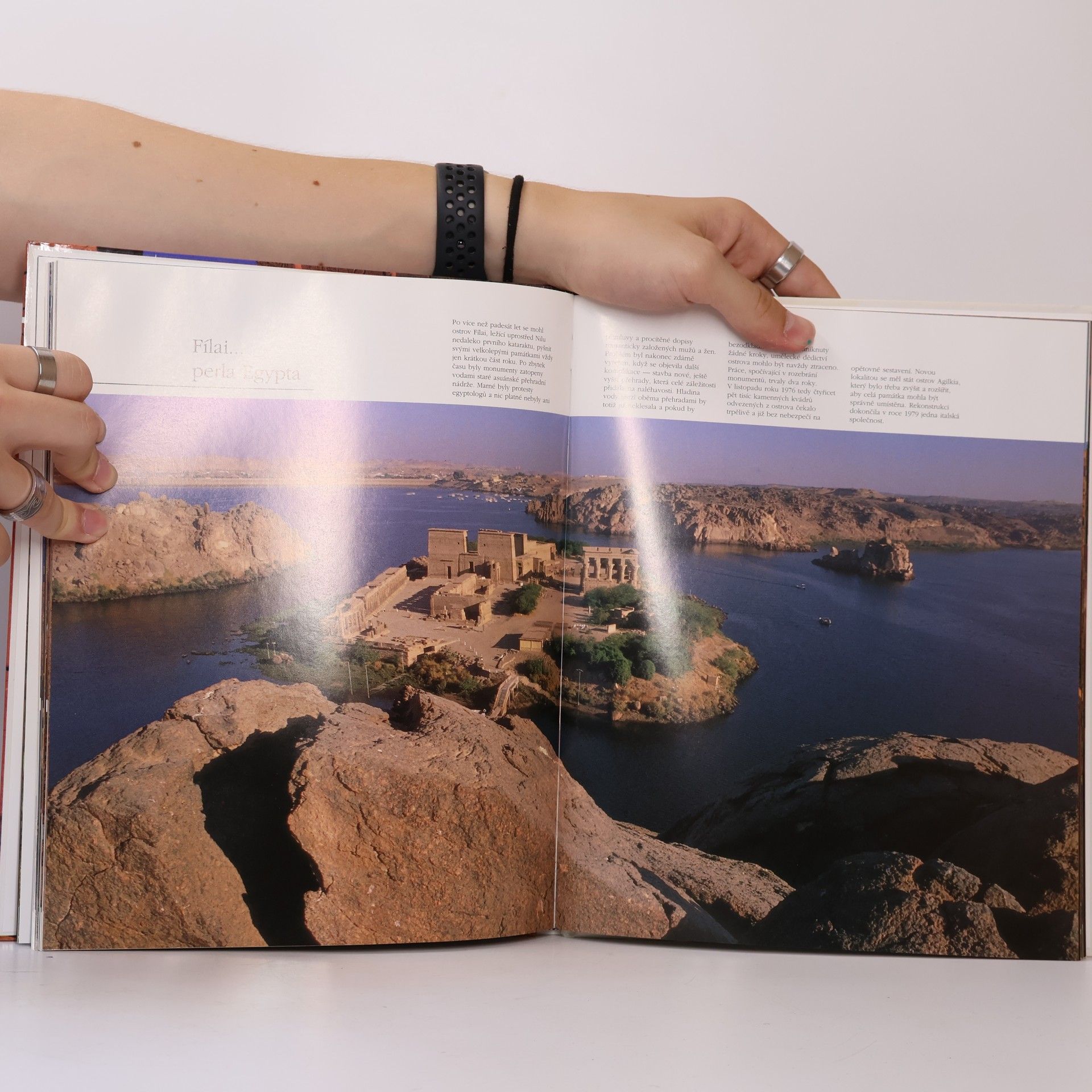Simonetta Crescimbene Egypt