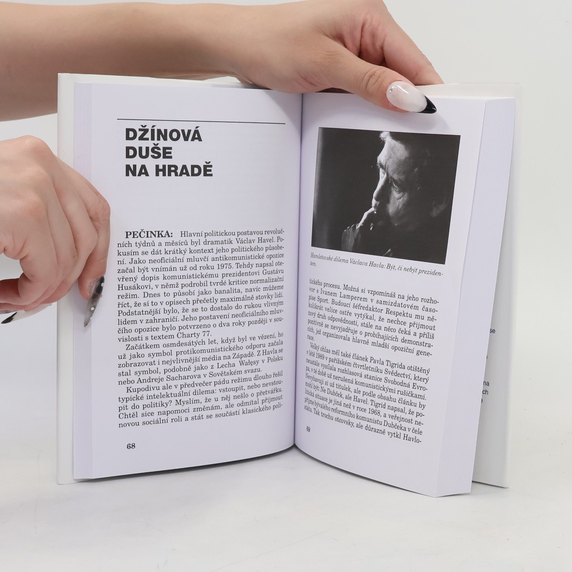 Petr Havlík Politika z obou stran : česká politika 1989-2005