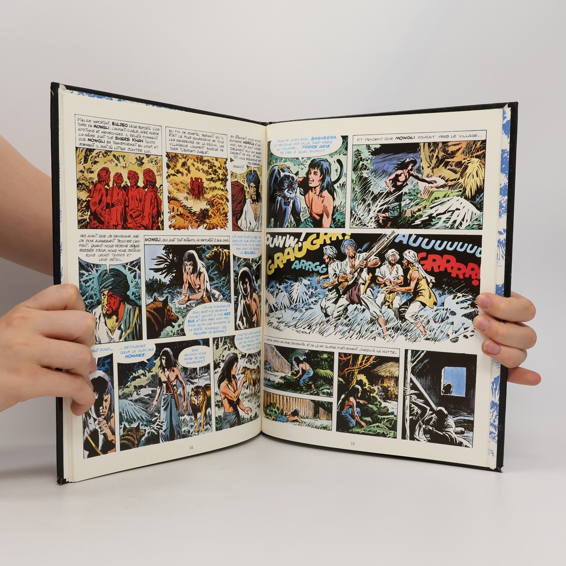 Elisabeth Arranz Le Livre de la Jungle