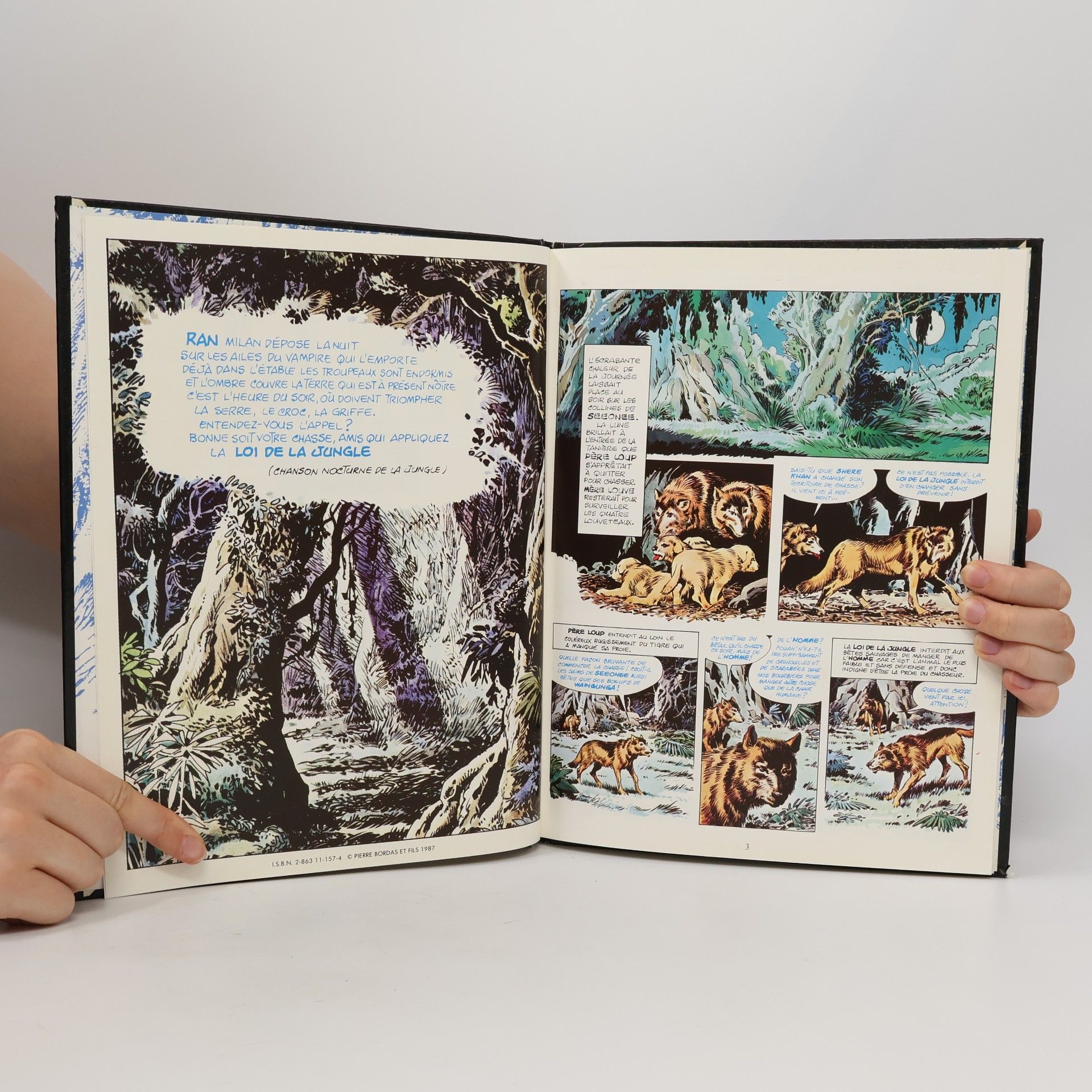 Elisabeth Arranz Le Livre de la Jungle