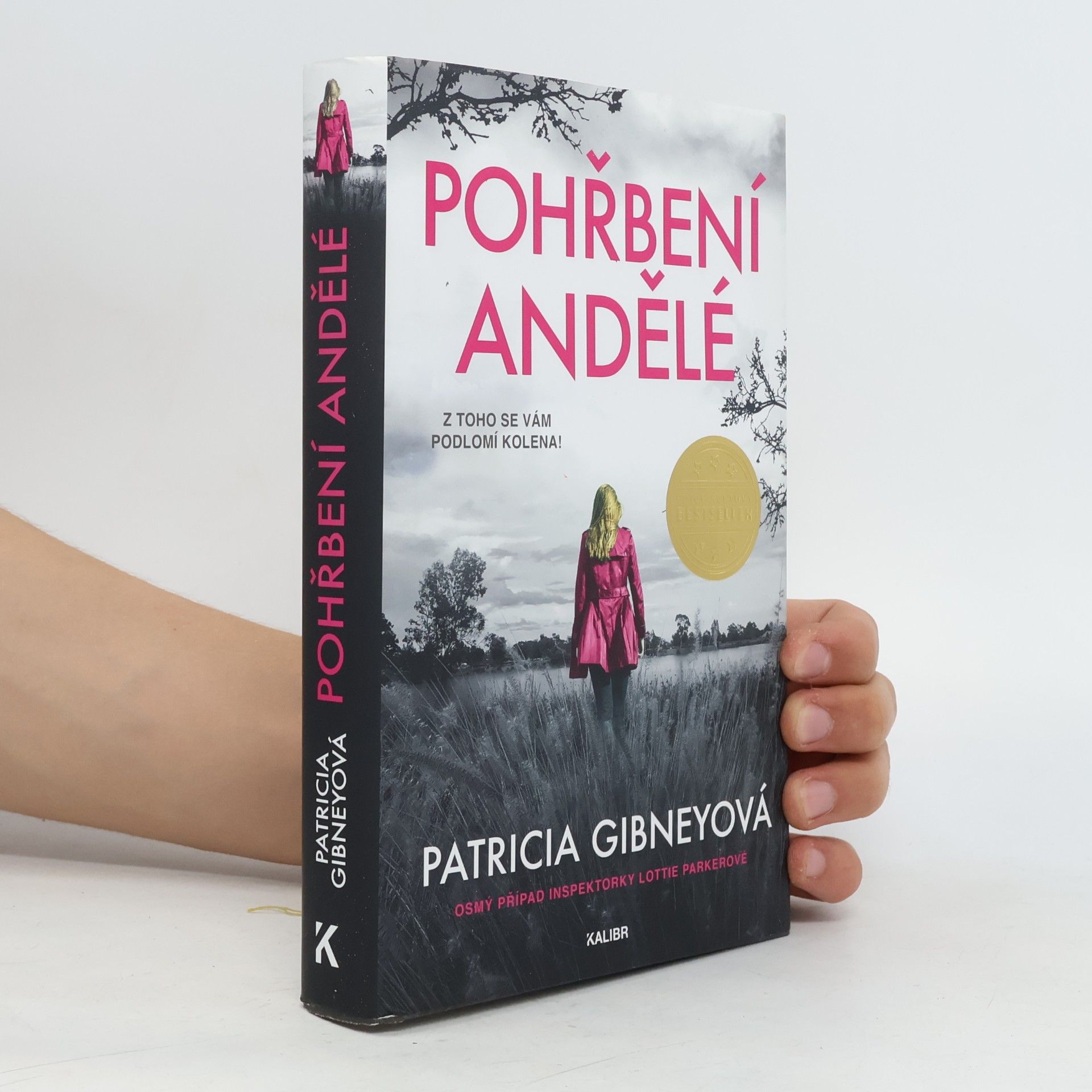 Patricia Gibney Pohřbení andělé