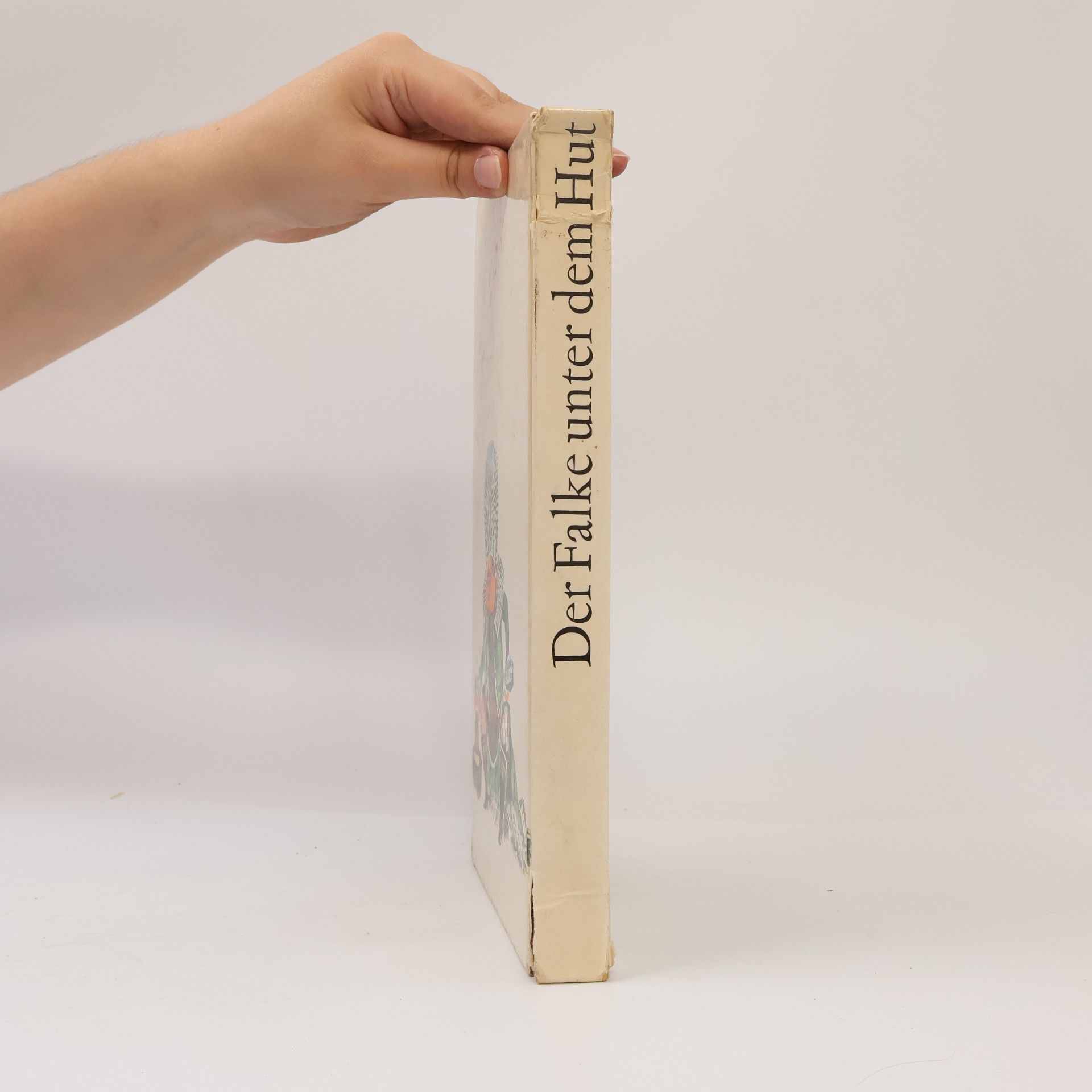 Regine Schultz Der Falke unter dem Hut