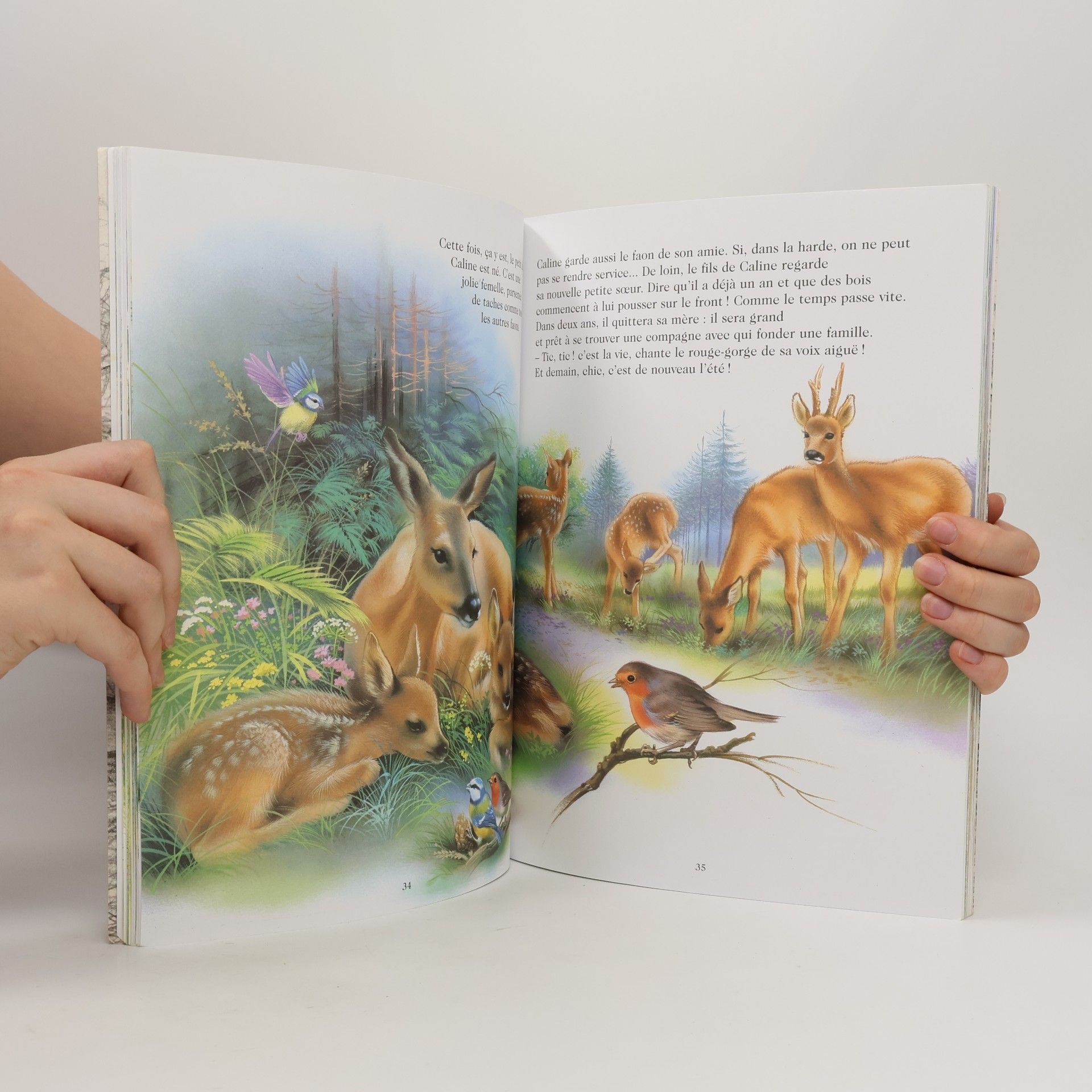 Pascale Védère d'Auria Animaux, mes amis