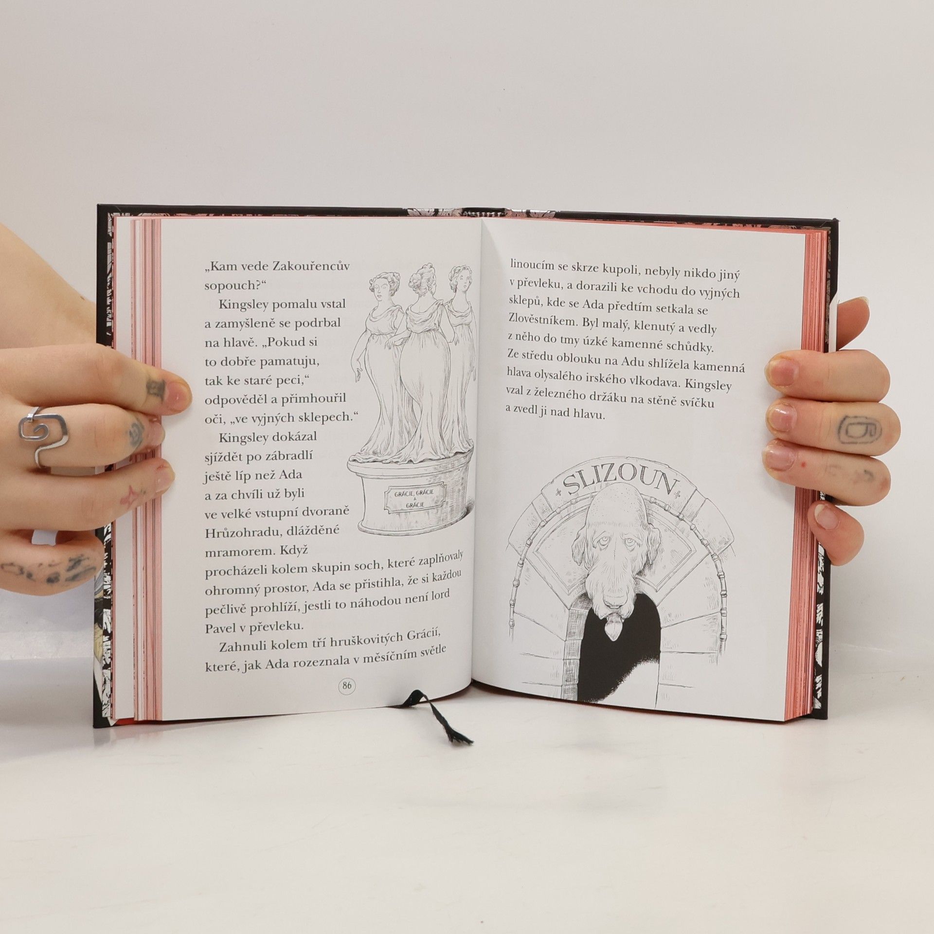 Chris Riddell Ada a hrůzostrašná slavnost