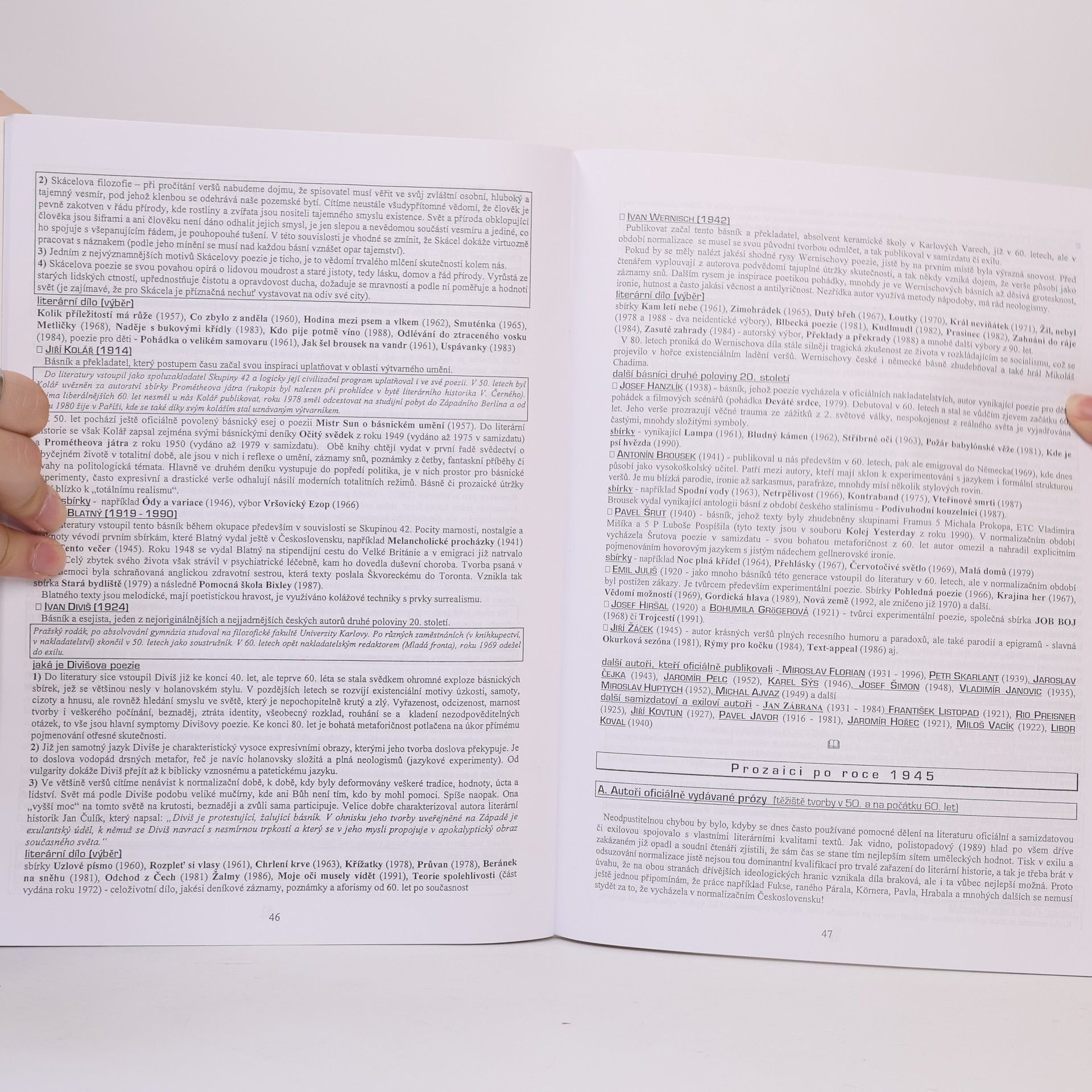 Vladimír Prokop Přehled české literatury 20. století