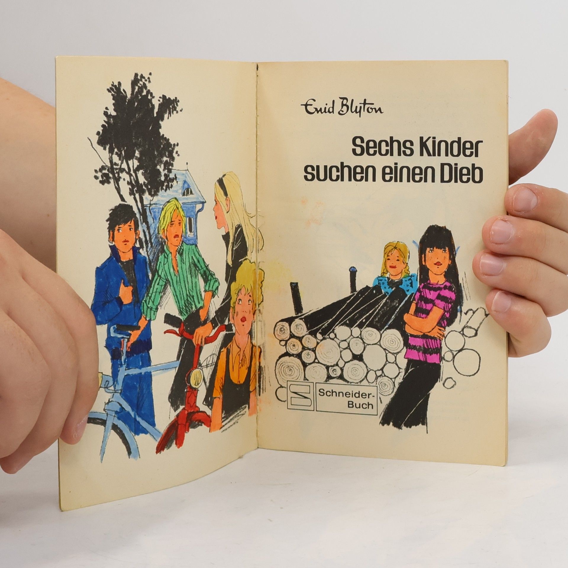 Enid Blyton Familie Langfeld 2. Geheimnise