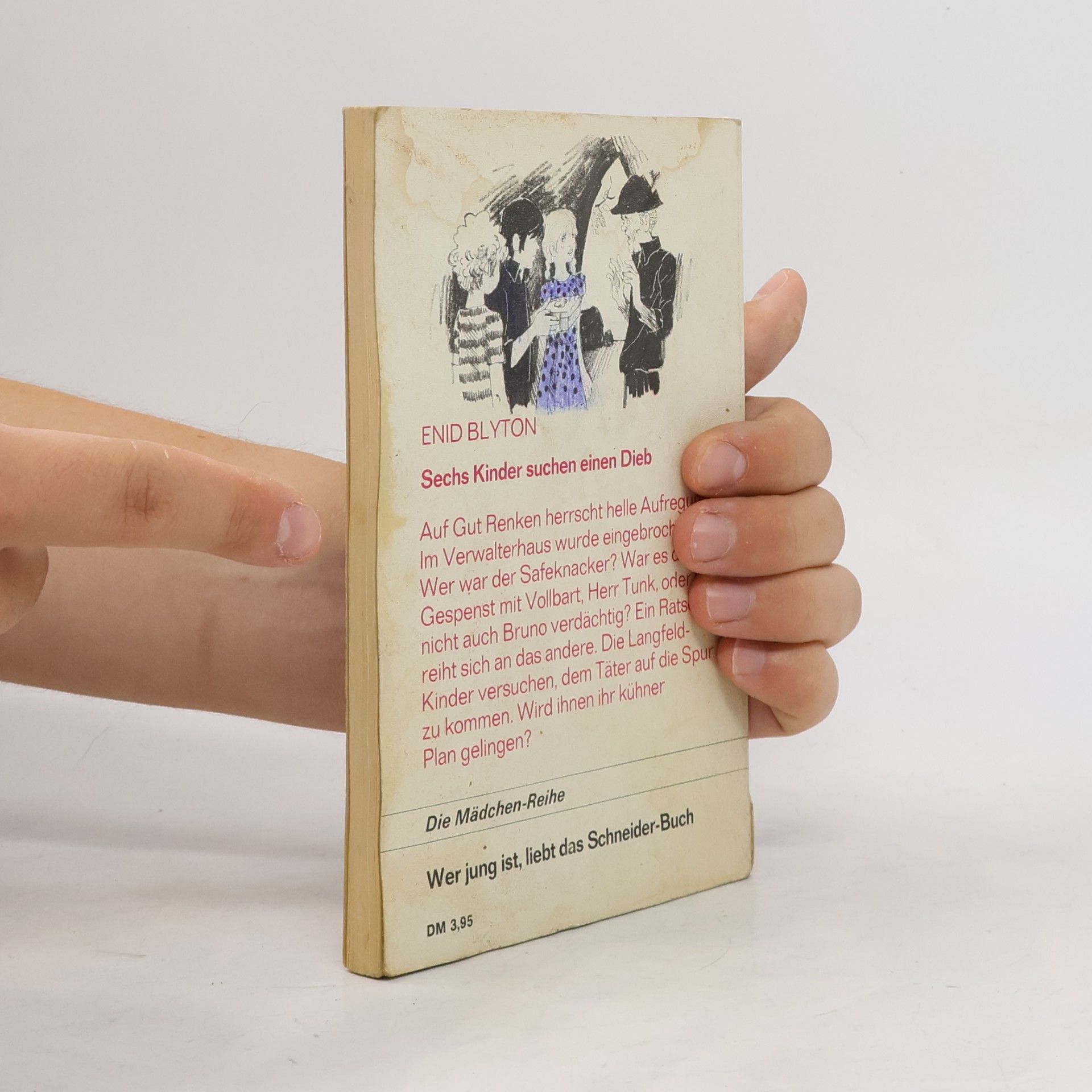 Enid Blyton Familie Langfeld 2. Geheimnise