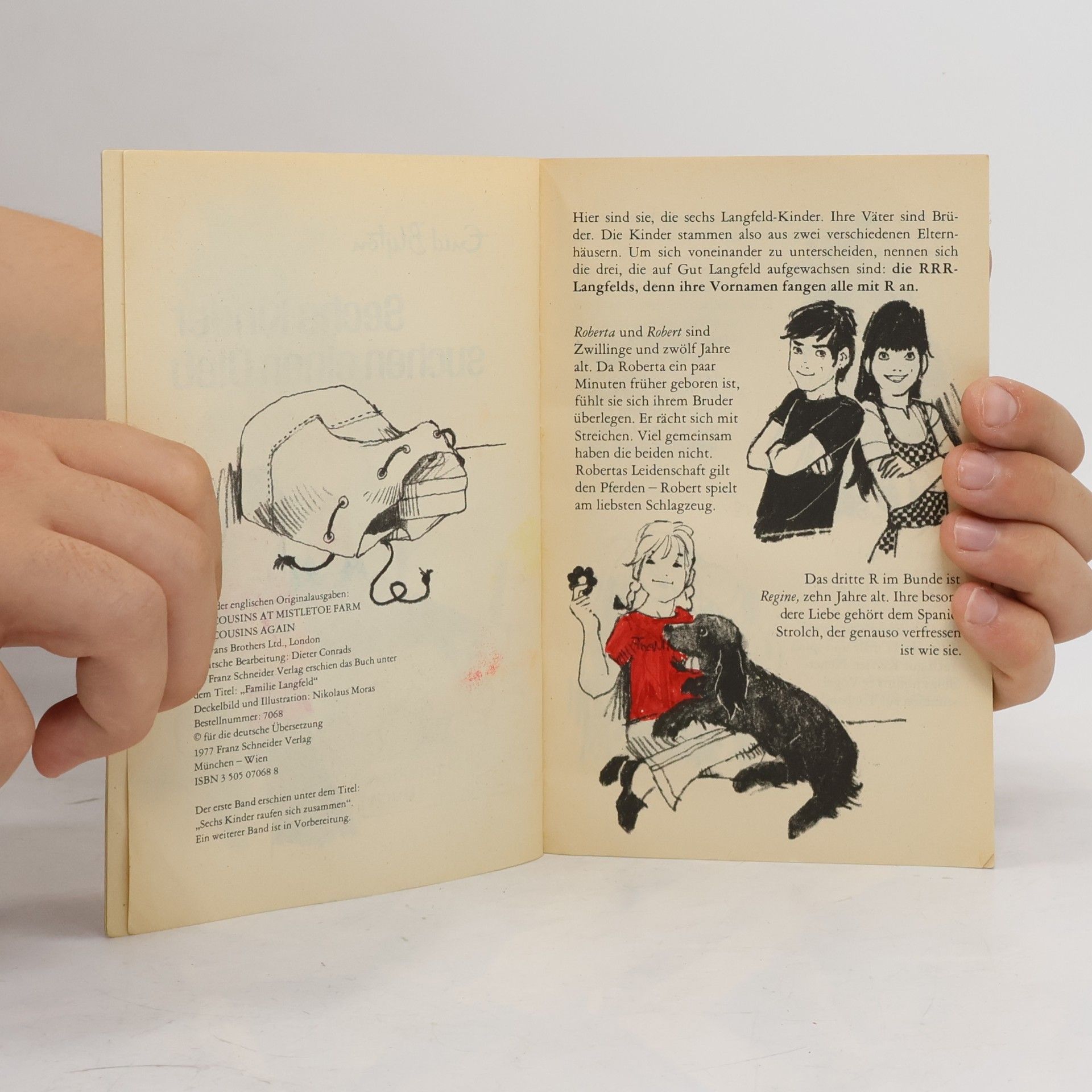 Enid Blyton Familie Langfeld 2. Geheimnise
