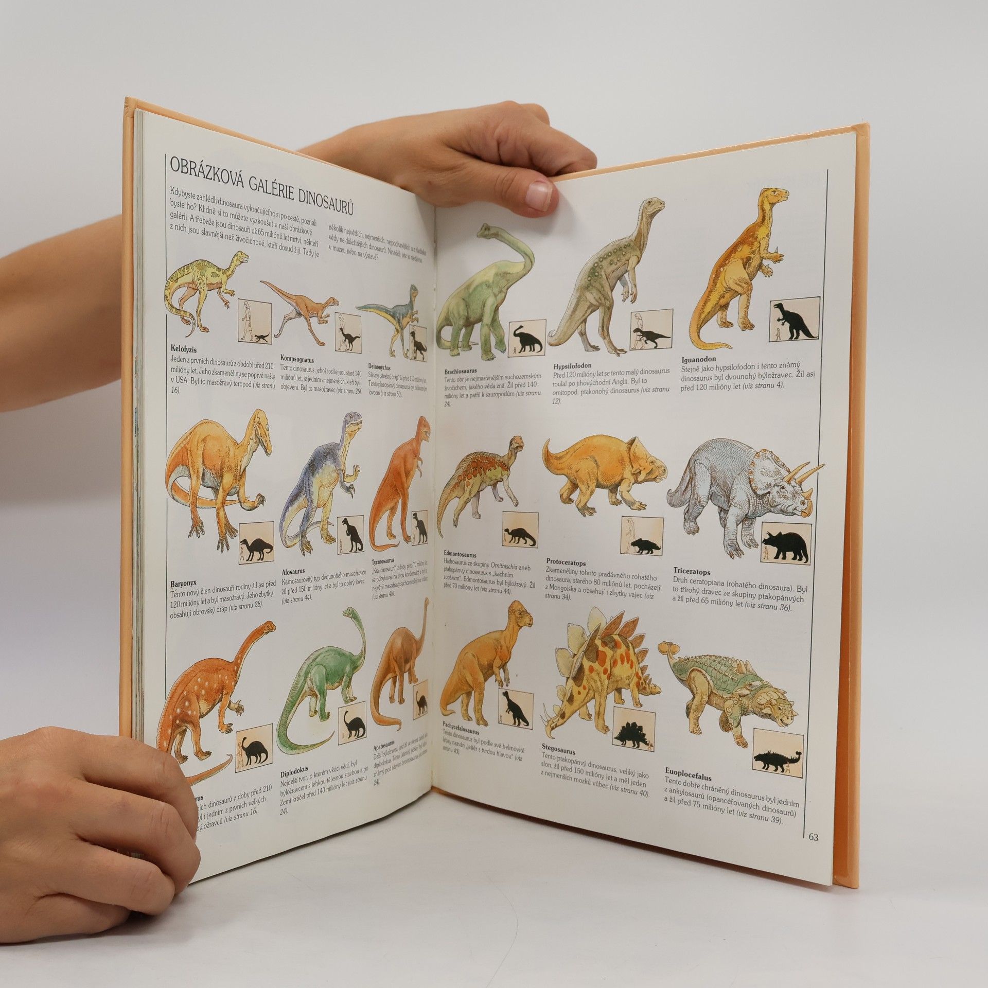 Various authors Jak žili dinosauři