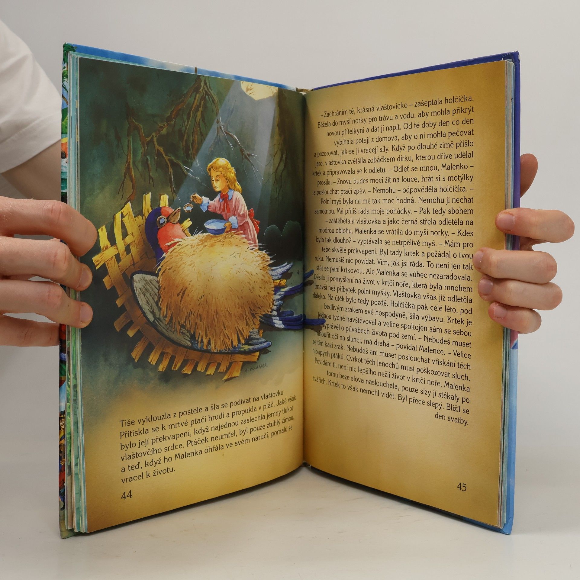 Hans Christian Andersen Nejznámější pohádky H. Ch. Andersena