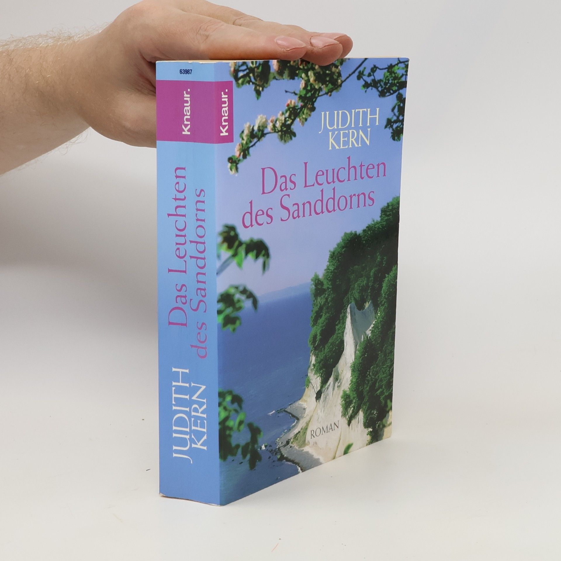 Judith Kern Das Leuchten des Sanddorns