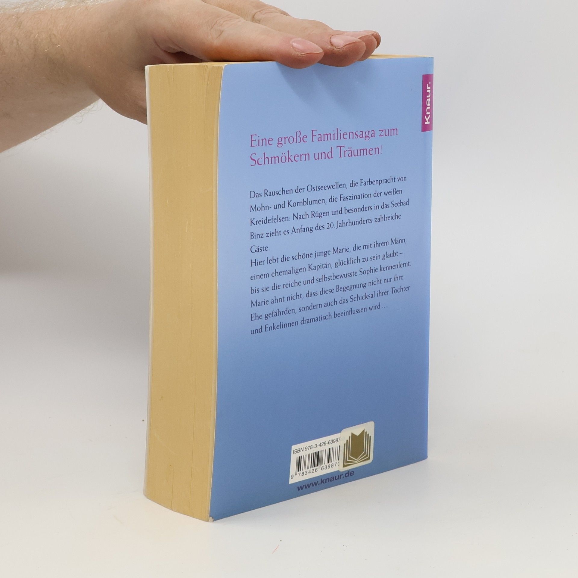 Judith Kern Das Leuchten des Sanddorns